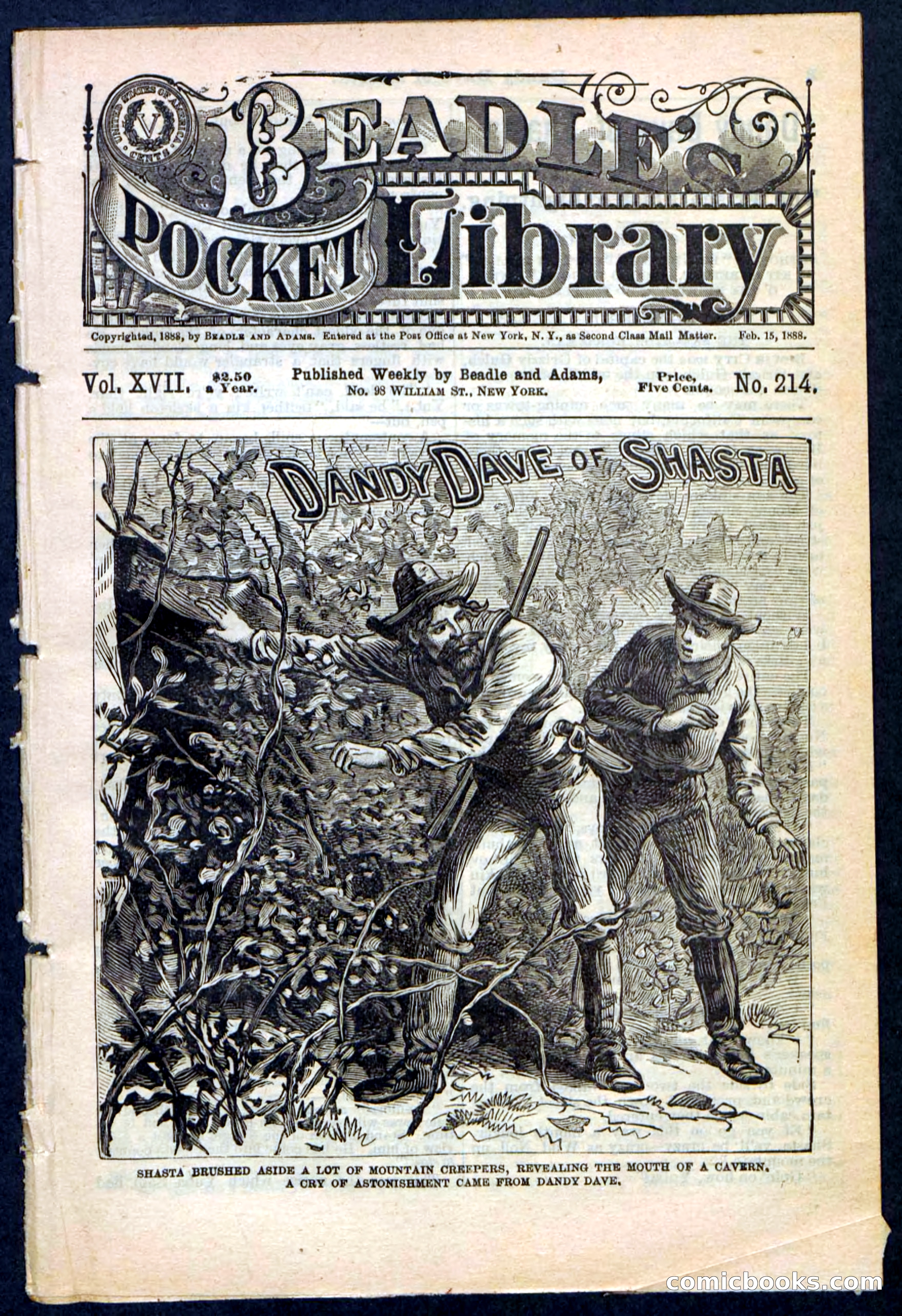 Beadle's Pocket Library No. 214