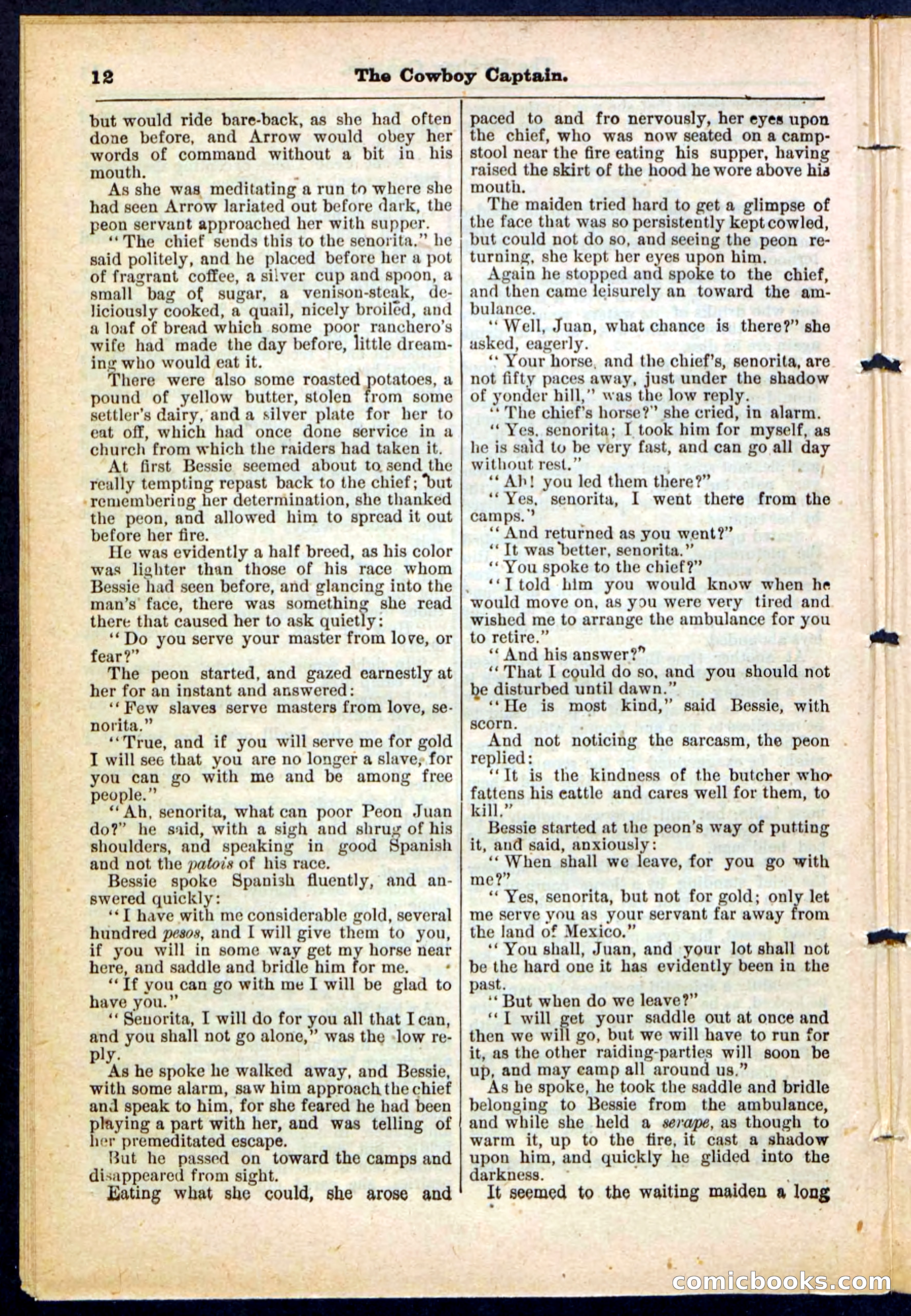 The Cowboy Captain — page 12 of 32