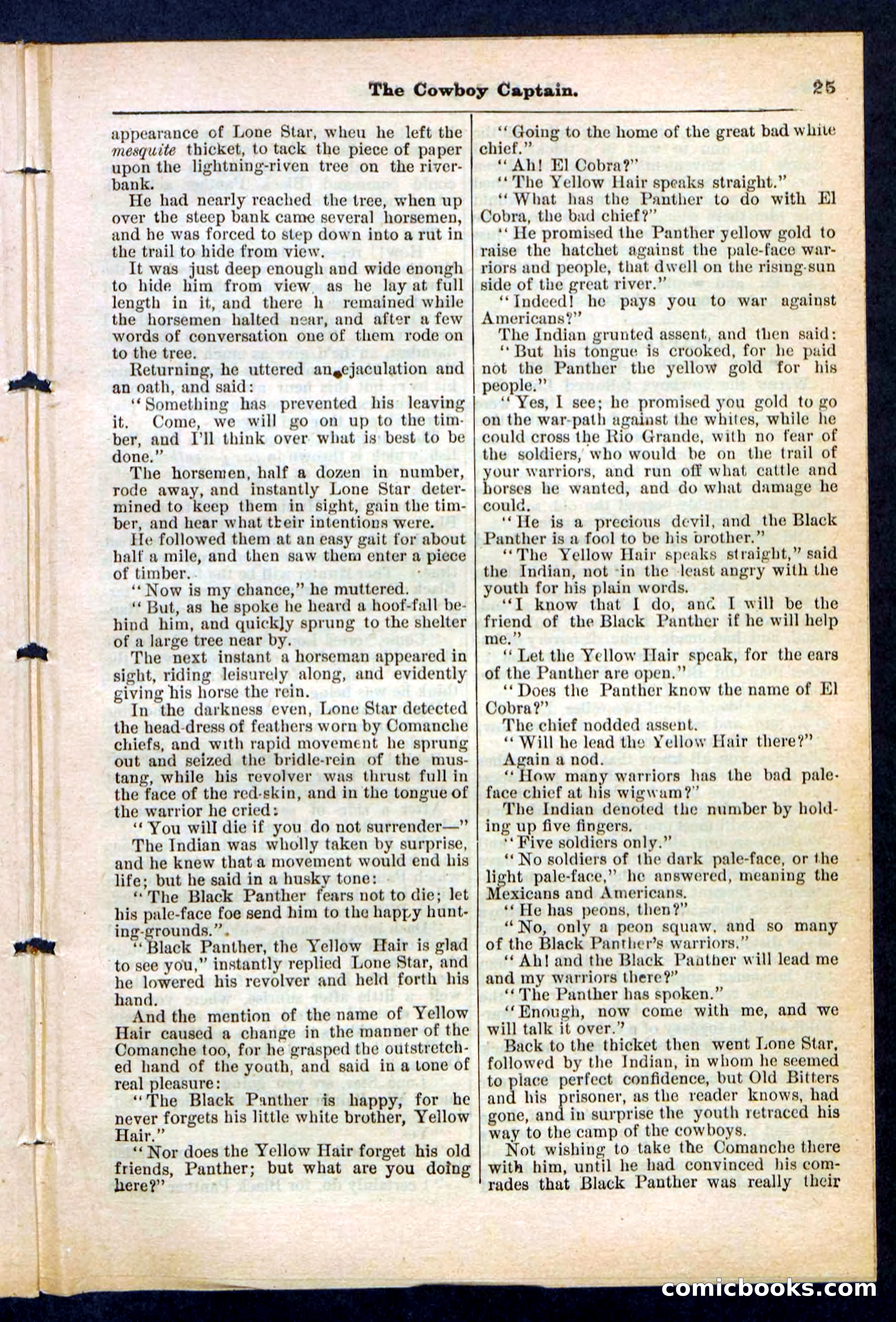 The Cowboy Captain — page 25 of 32