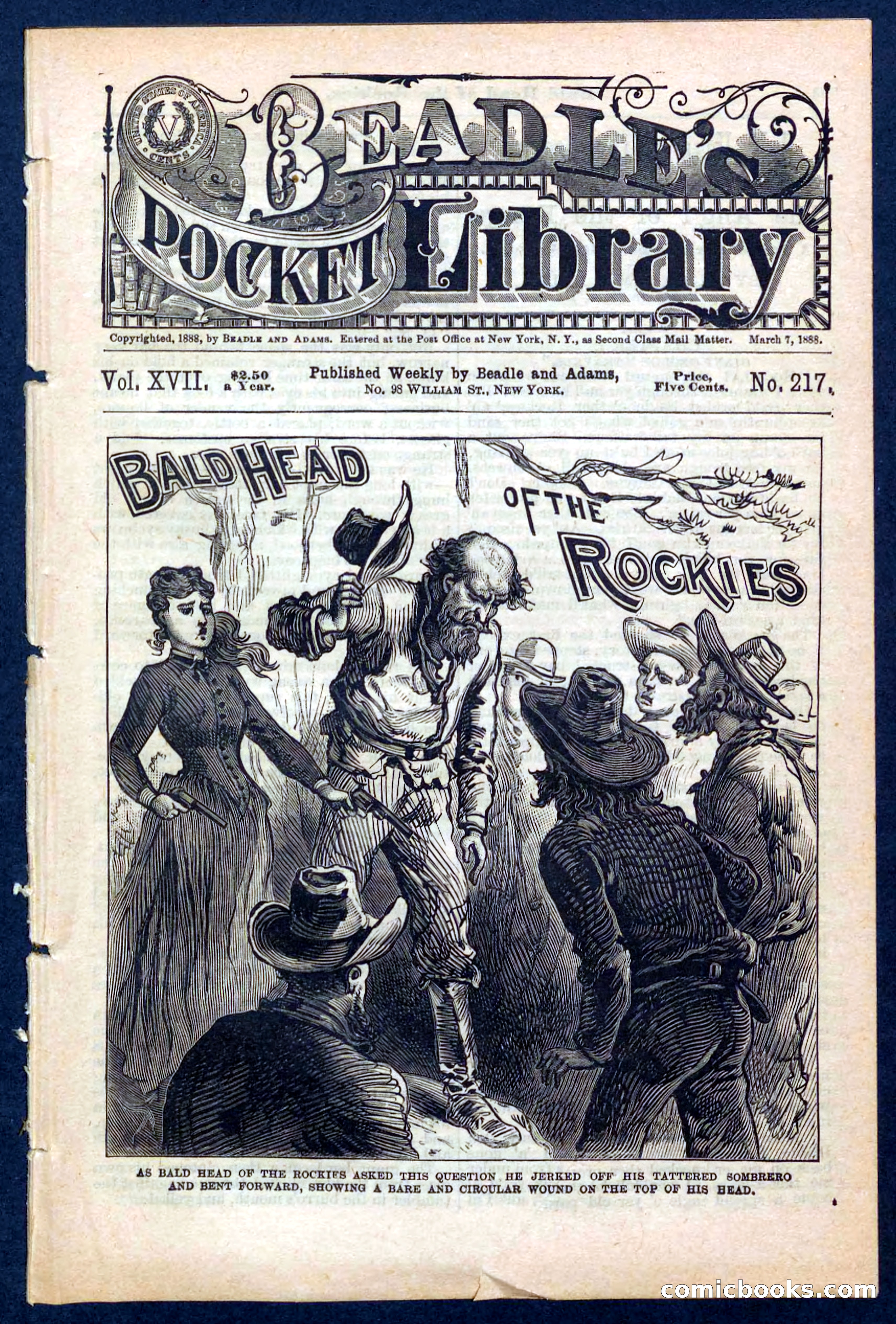 Beadle's Pocket Library No. 217