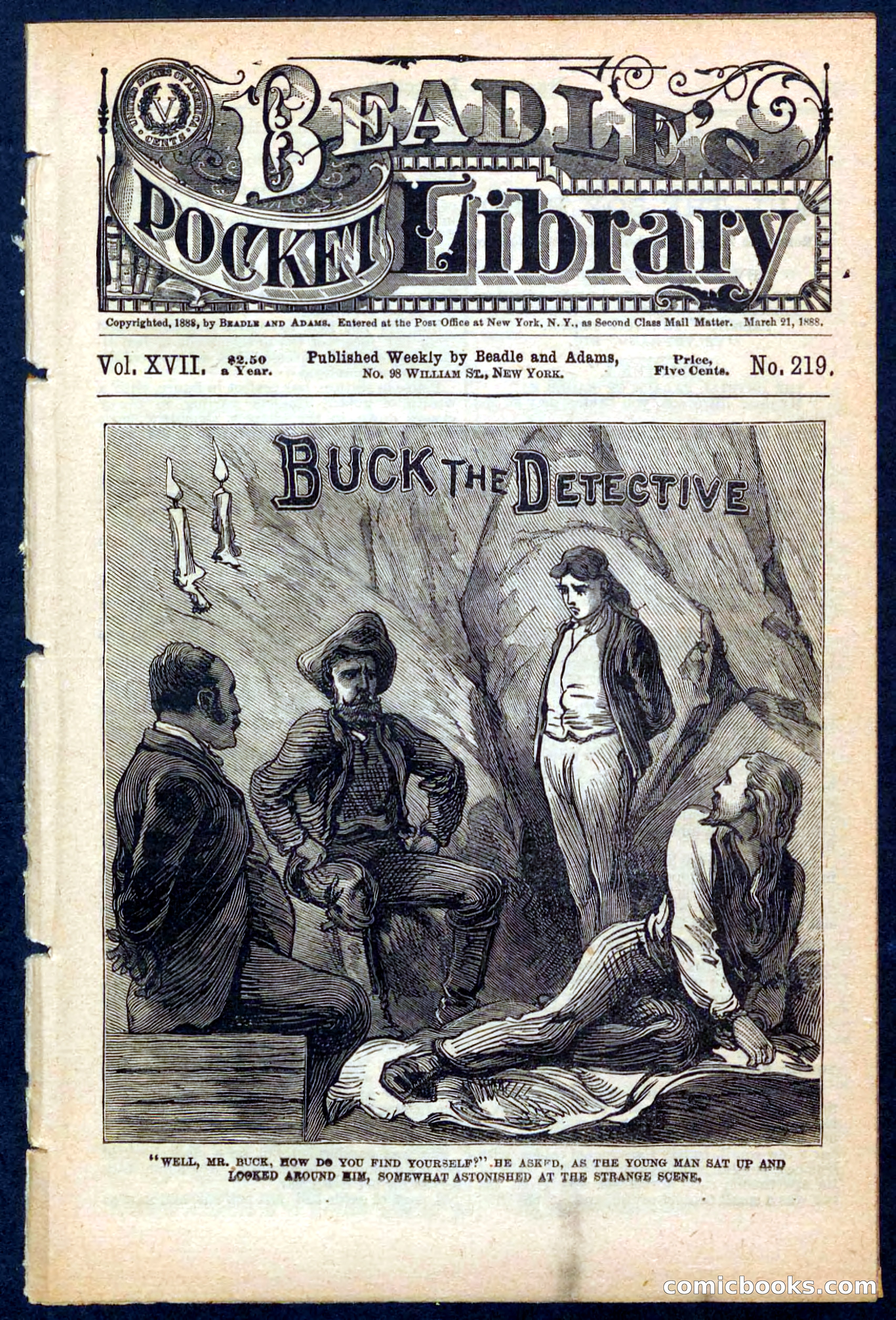 Beadle's Pocket Library No. 219: Buck the Detective