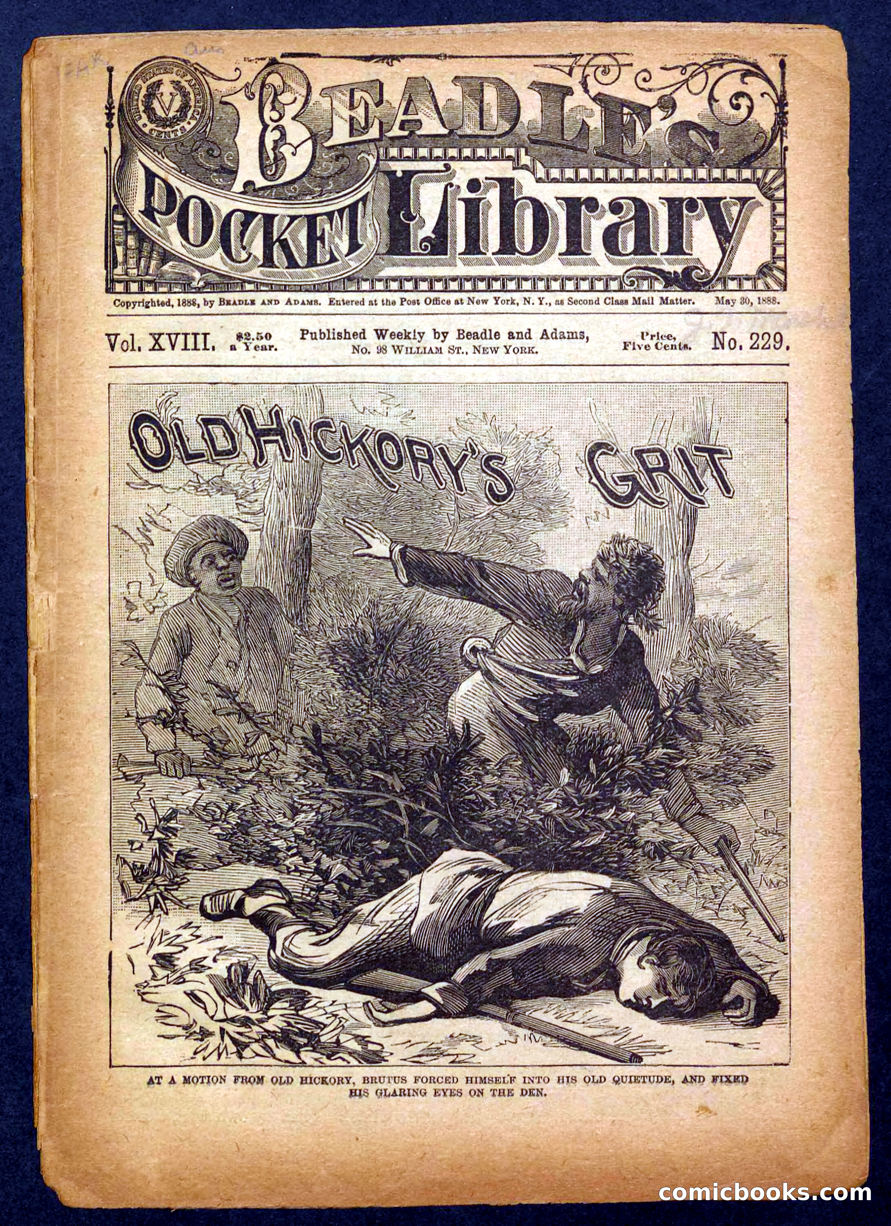 Beadle's Pocket Library No. 229