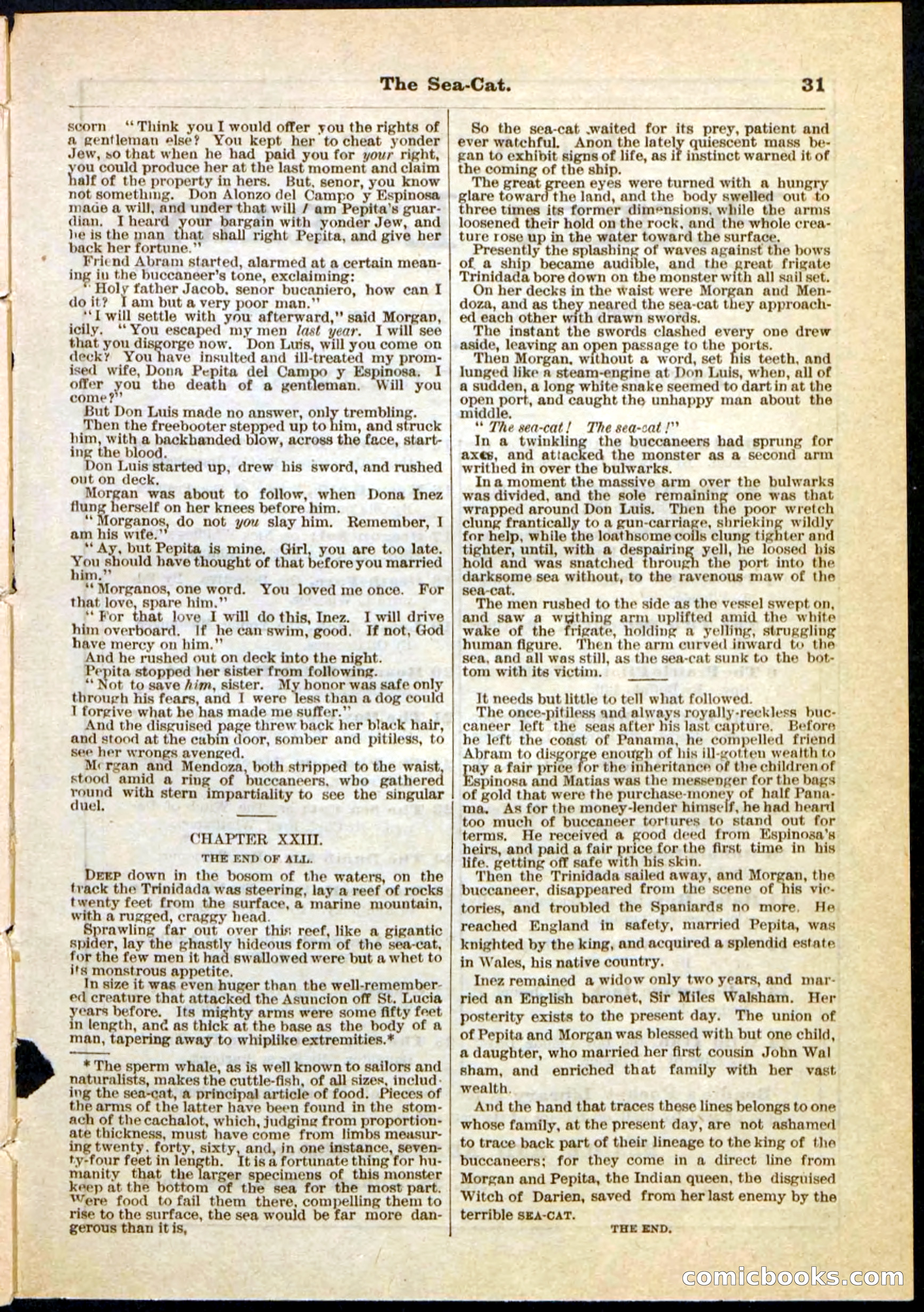 The Sea-Cat; or, The Witch of Darien — page 31 of 32