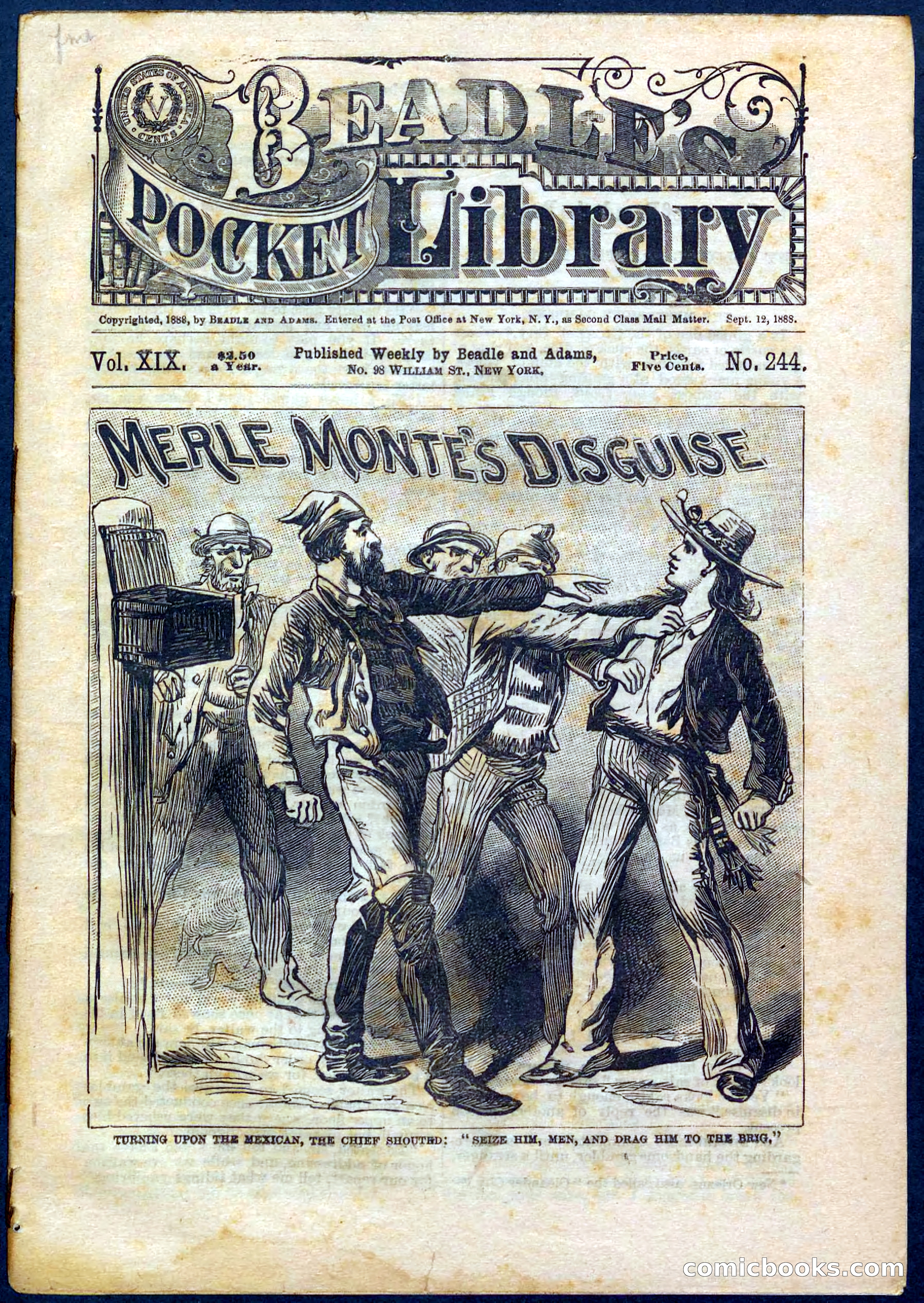 Beadle's Pocket Library No. 244 — page 1 of 32