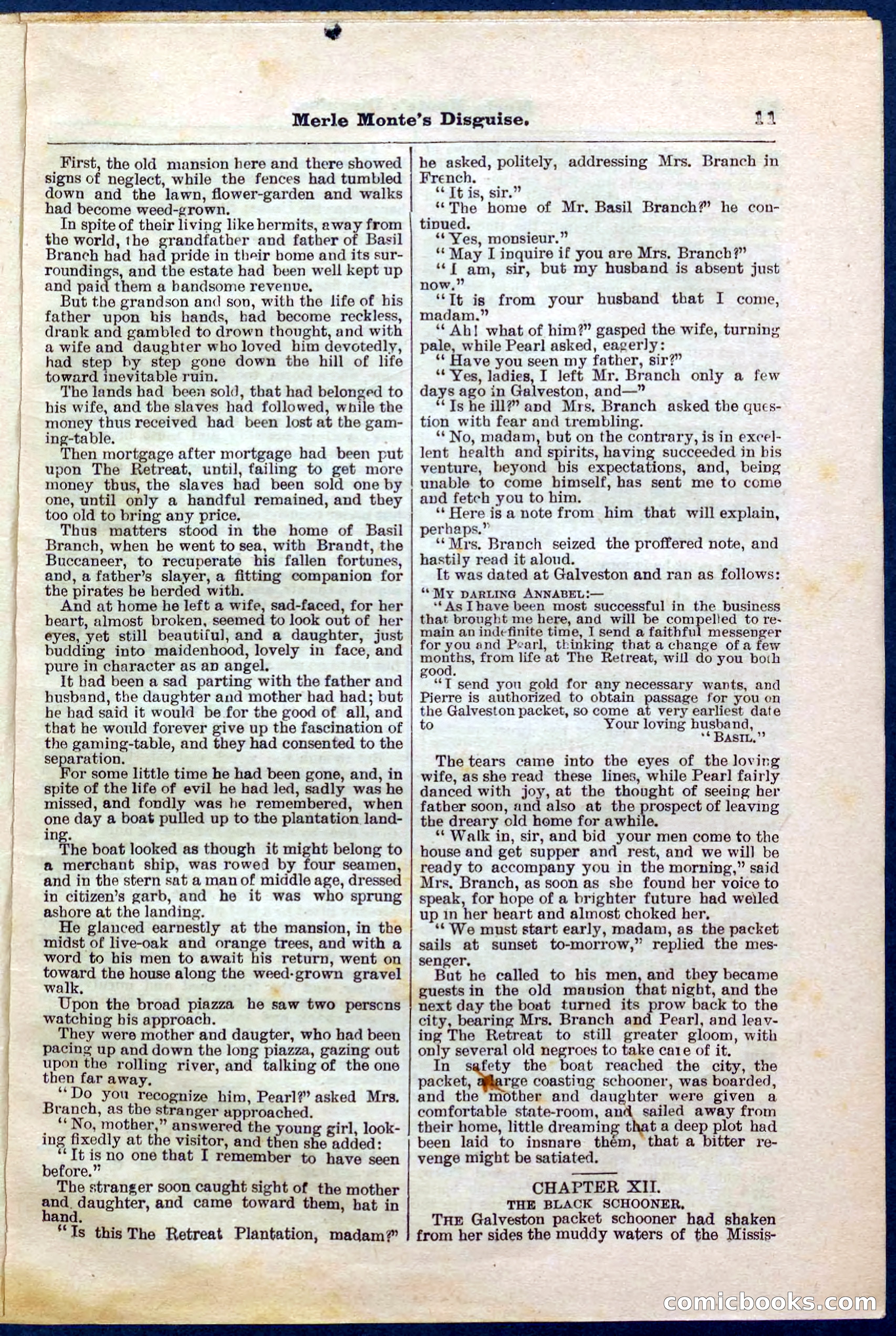 Beadle's Pocket Library No. 244 — page 11 of 32