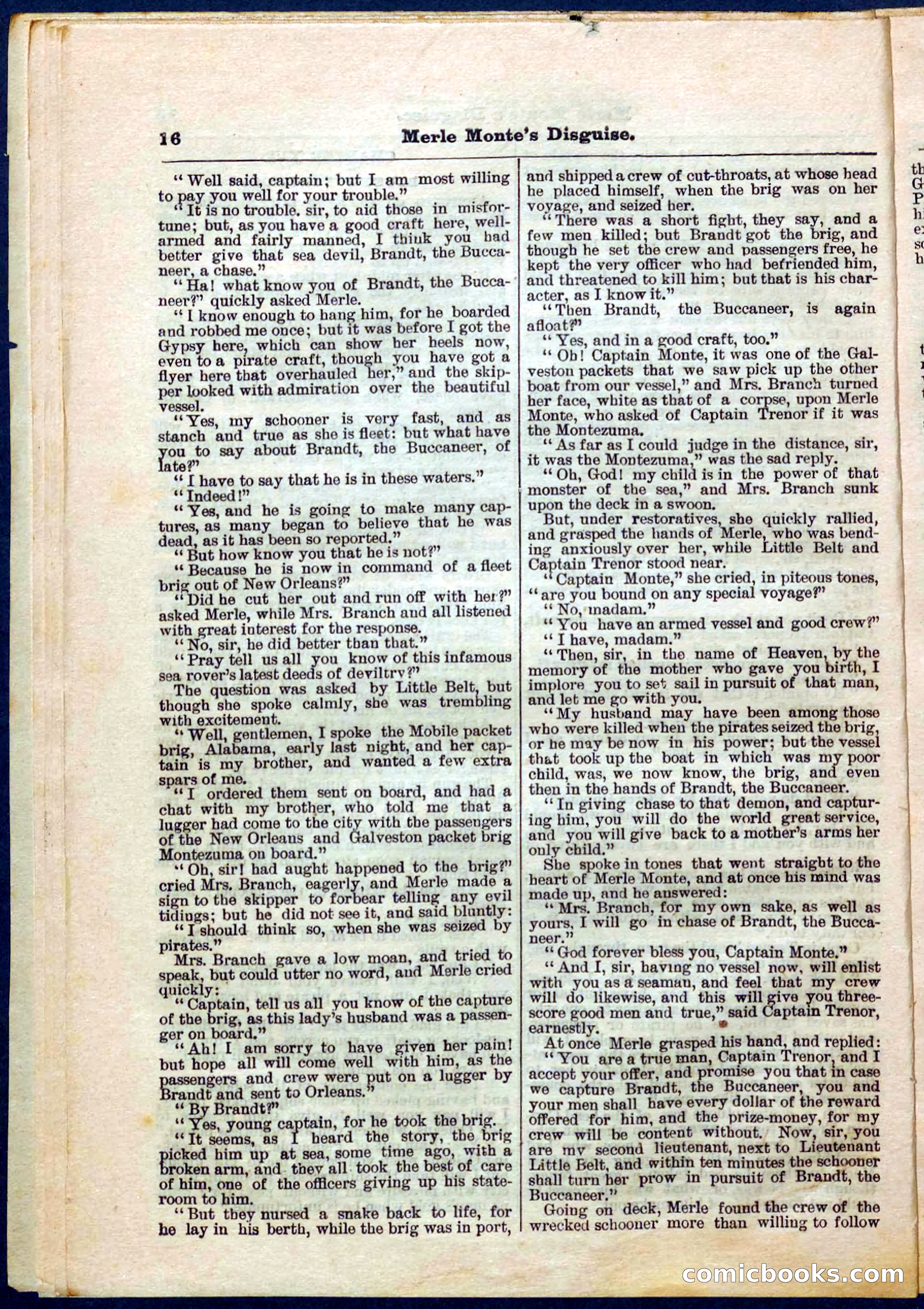 Beadle's Pocket Library No. 244 — page 16 of 32