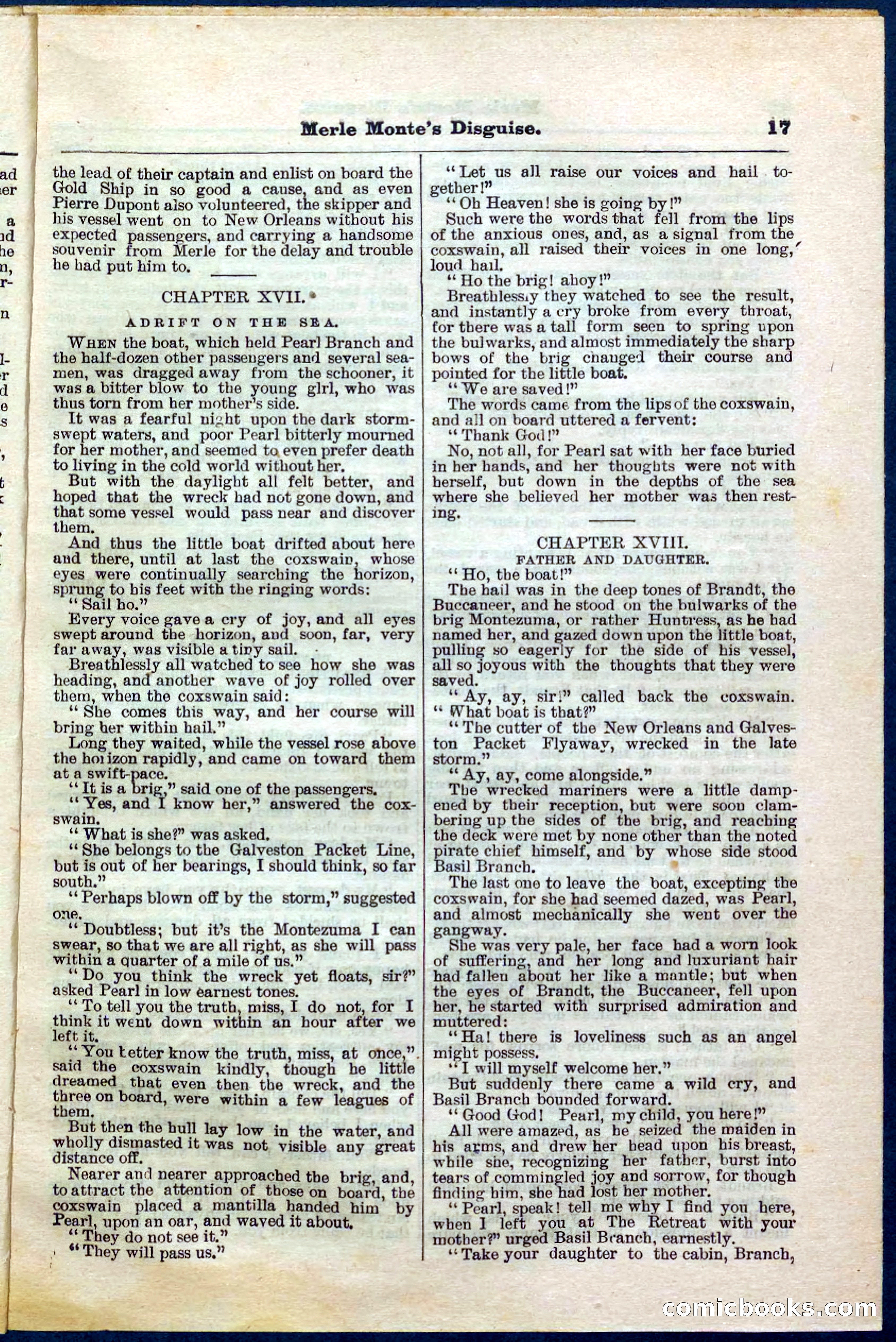 Beadle's Pocket Library No. 244 — page 17 of 32