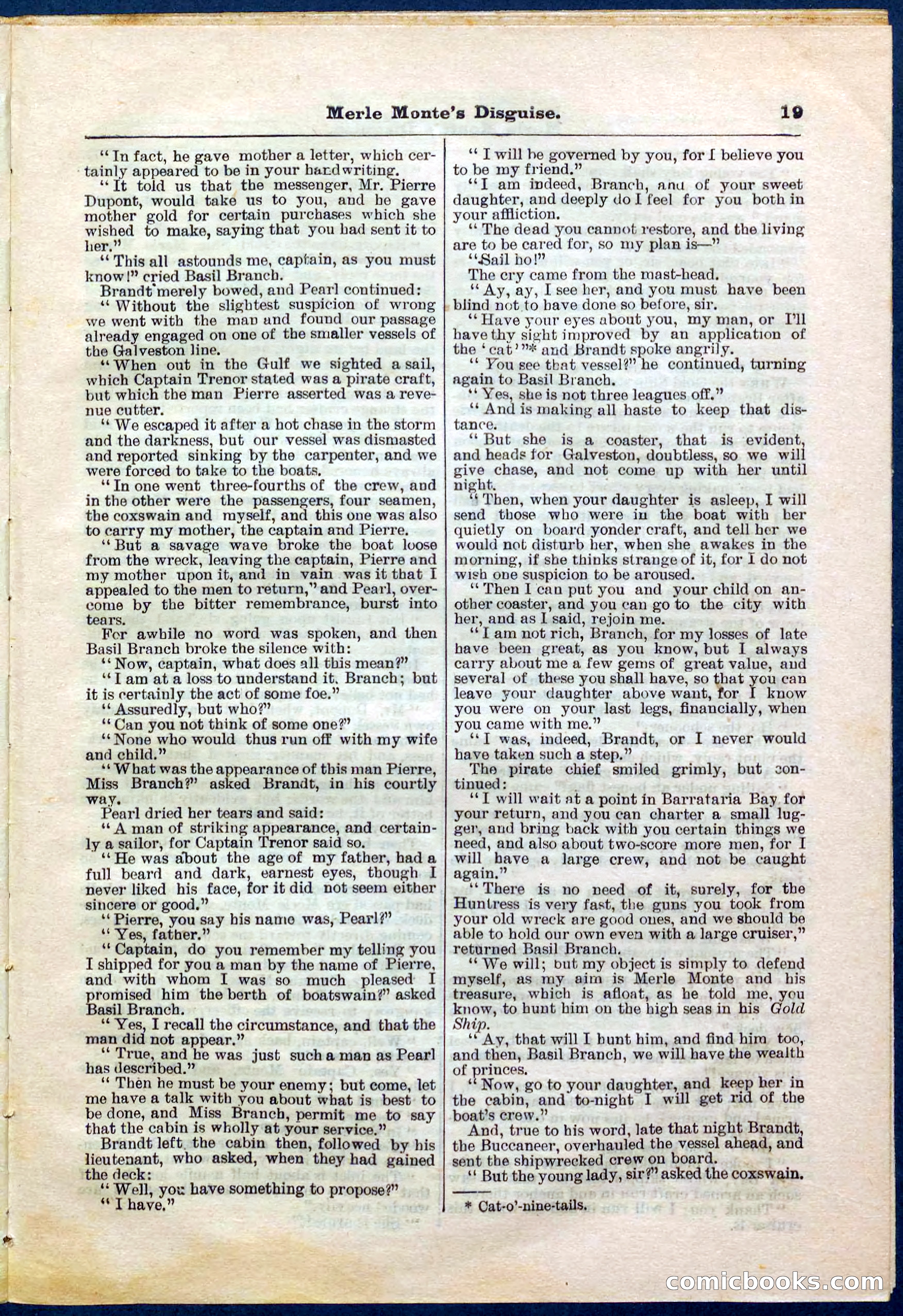 Beadle's Pocket Library No. 244 — page 19 of 32