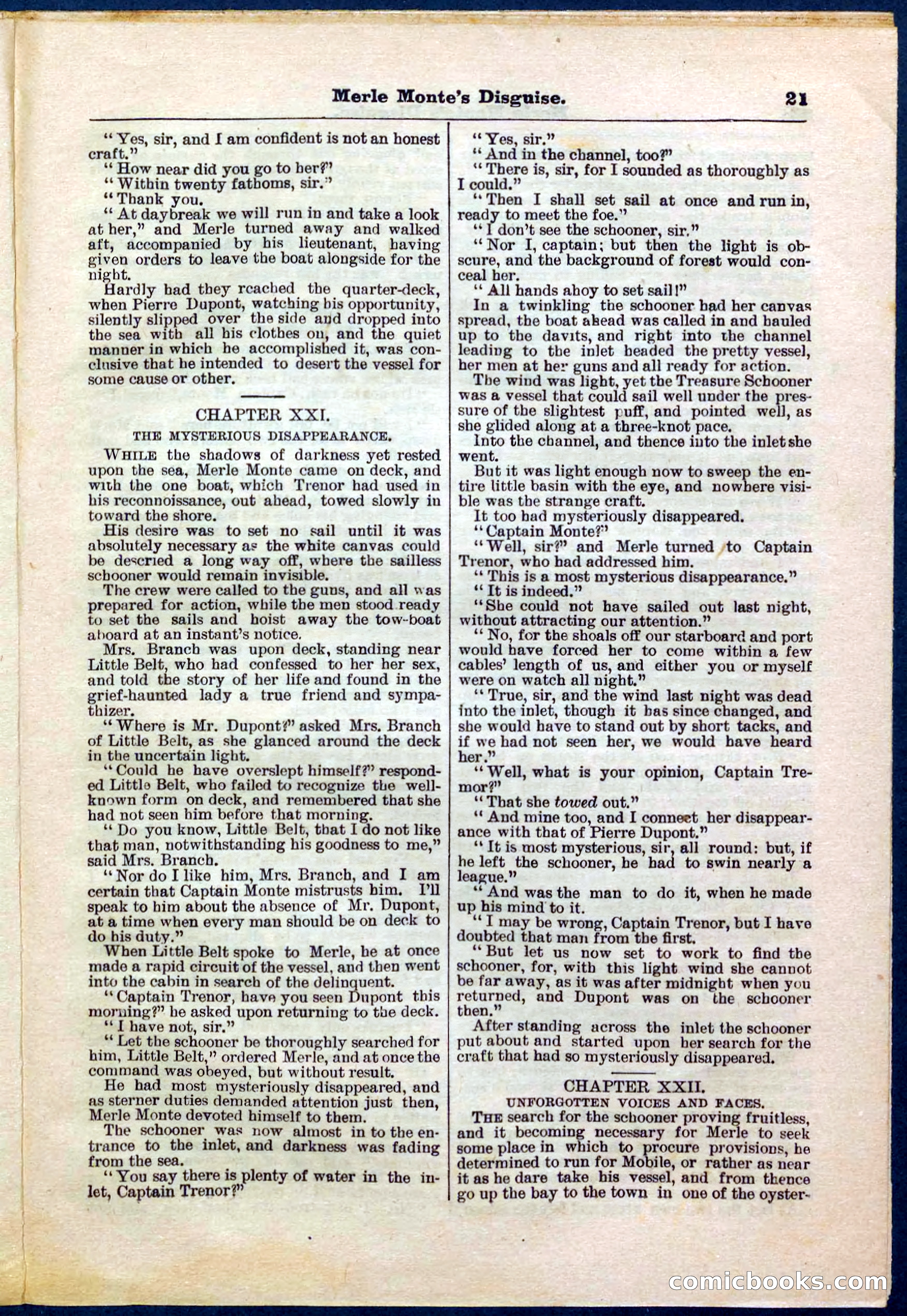 Beadle's Pocket Library No. 244 — page 21 of 32