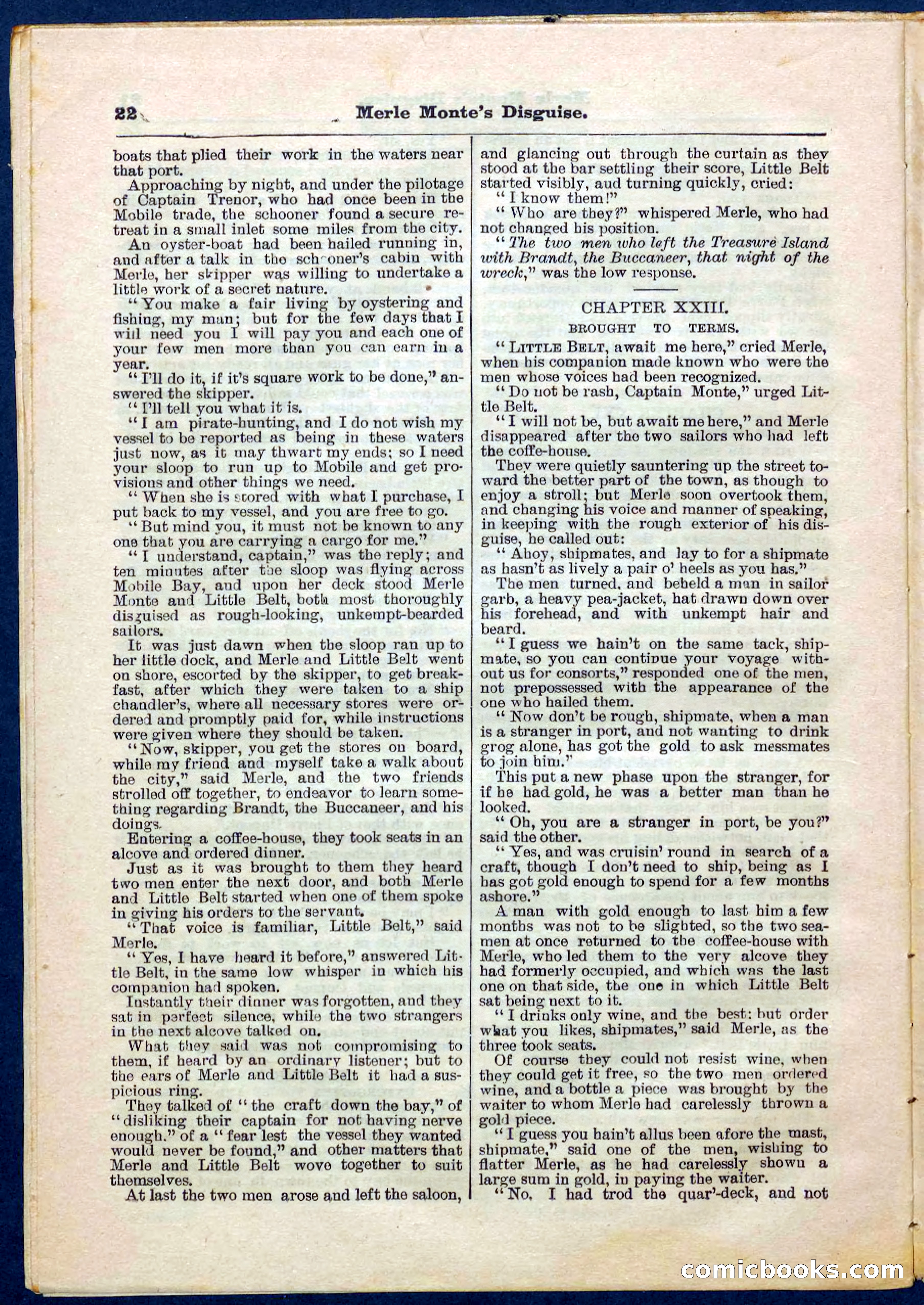 Beadle's Pocket Library No. 244 — page 22 of 32