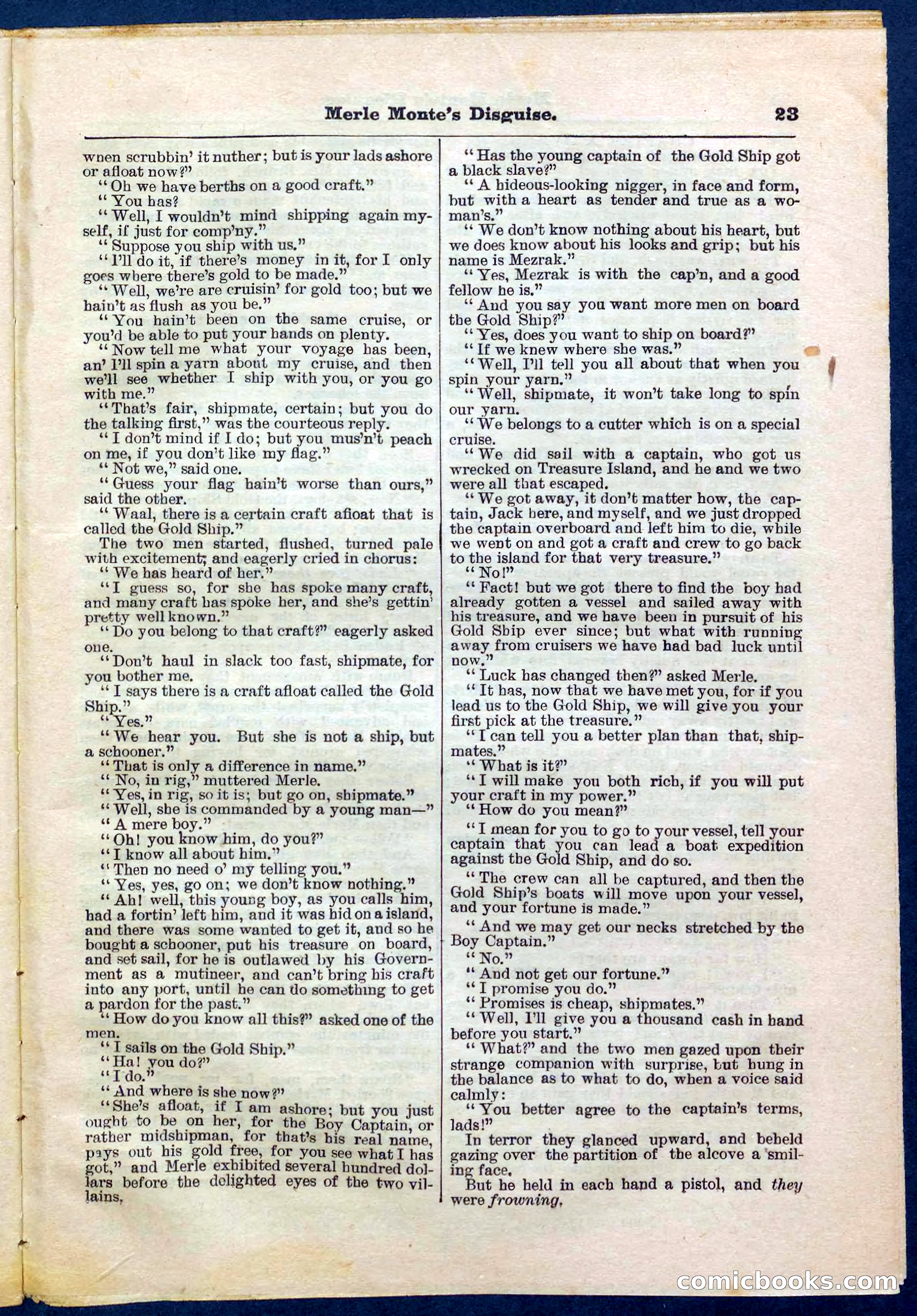 Beadle's Pocket Library No. 244 — page 23 of 32