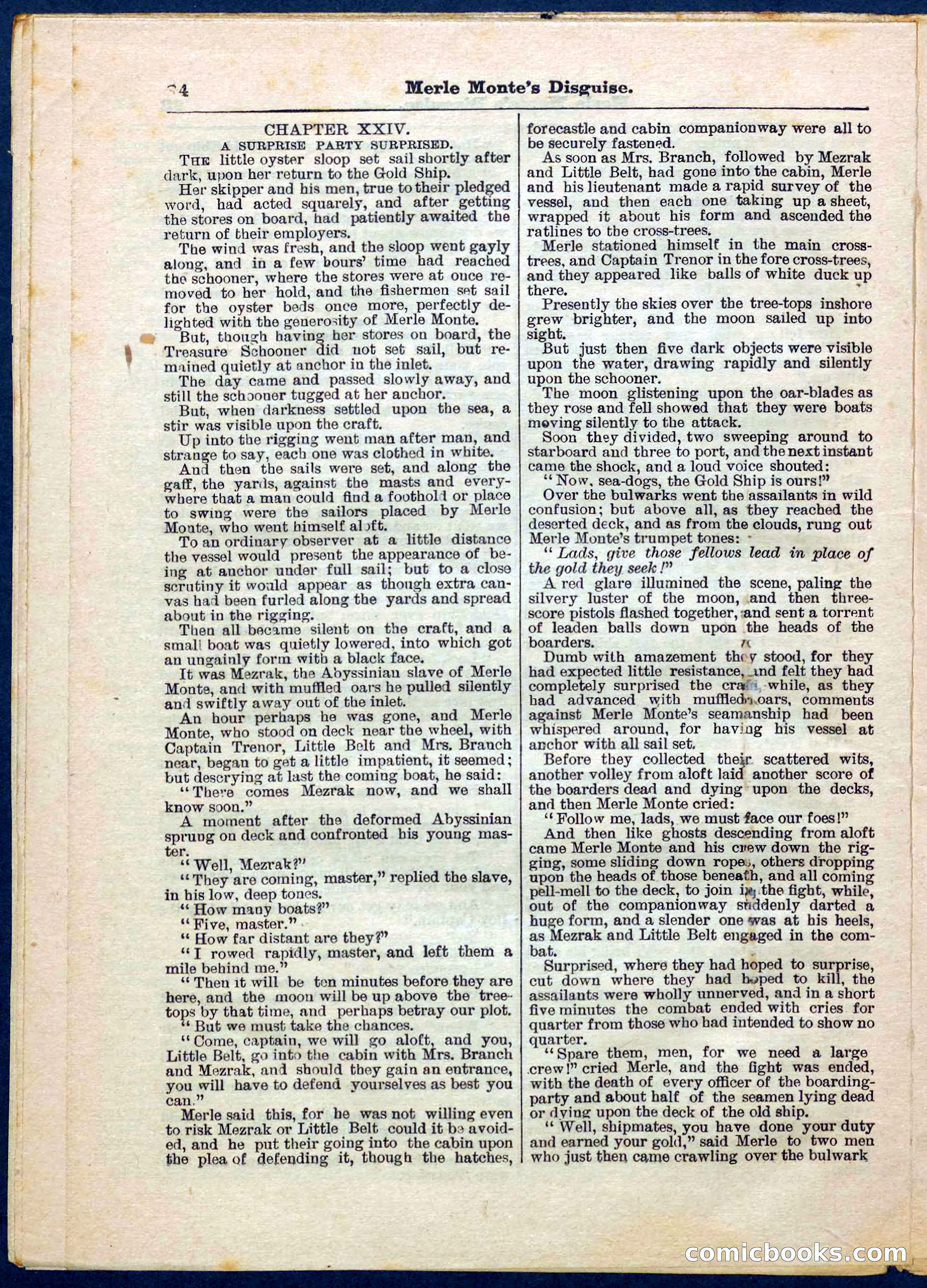 Beadle's Pocket Library No. 244 — page 24 of 32