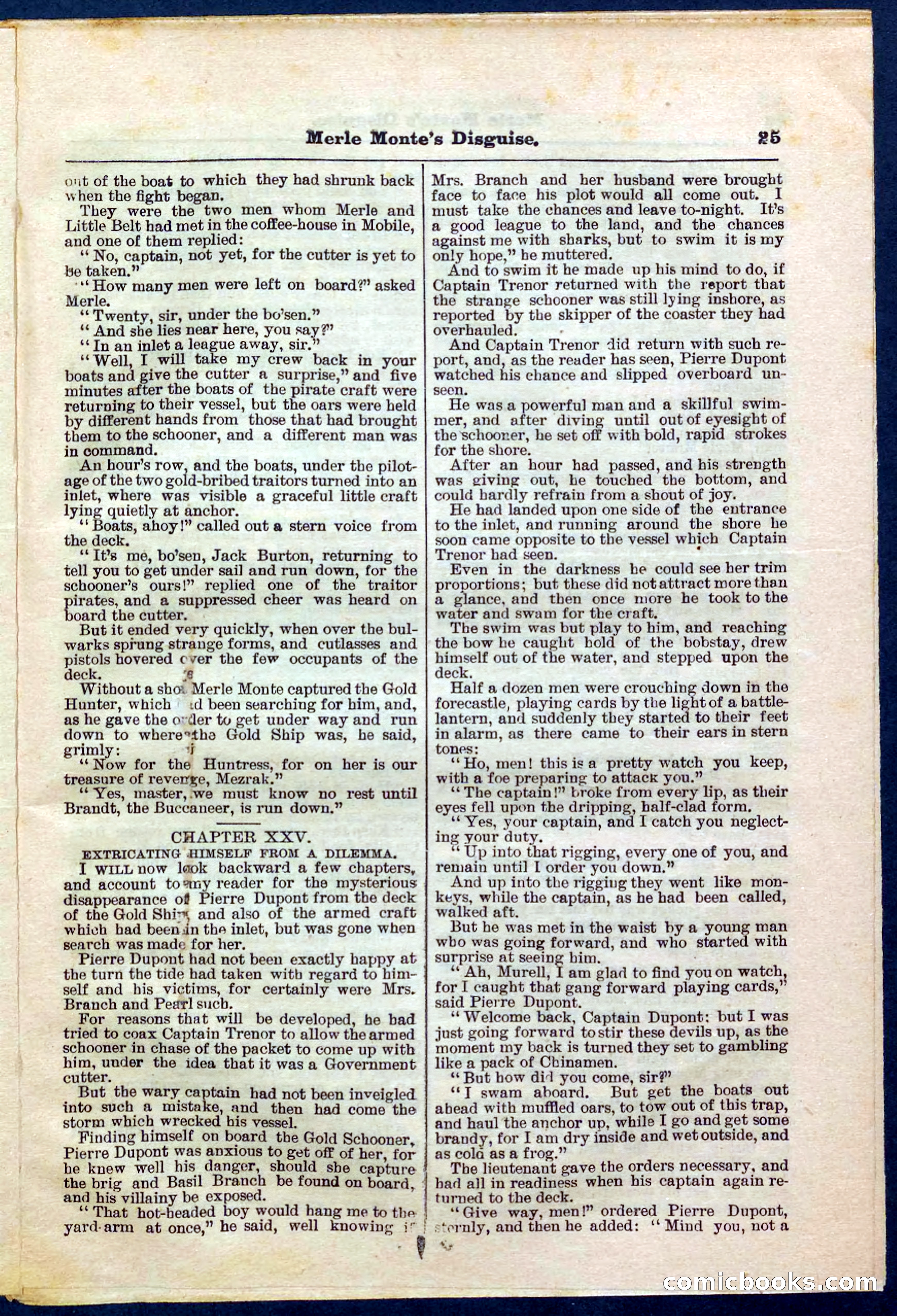 Beadle's Pocket Library No. 244 — page 25 of 32