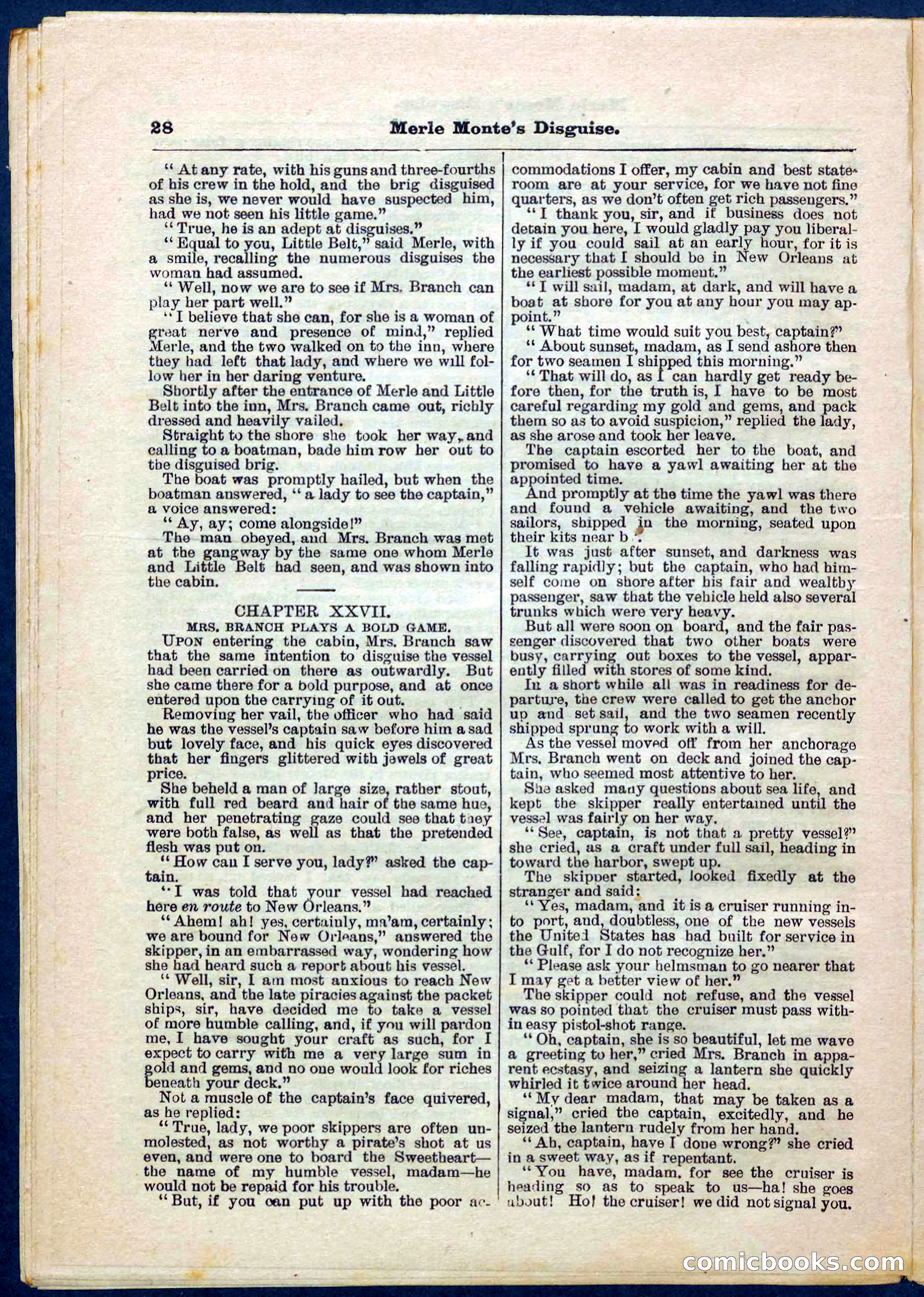 Beadle's Pocket Library No. 244 — page 28 of 32
