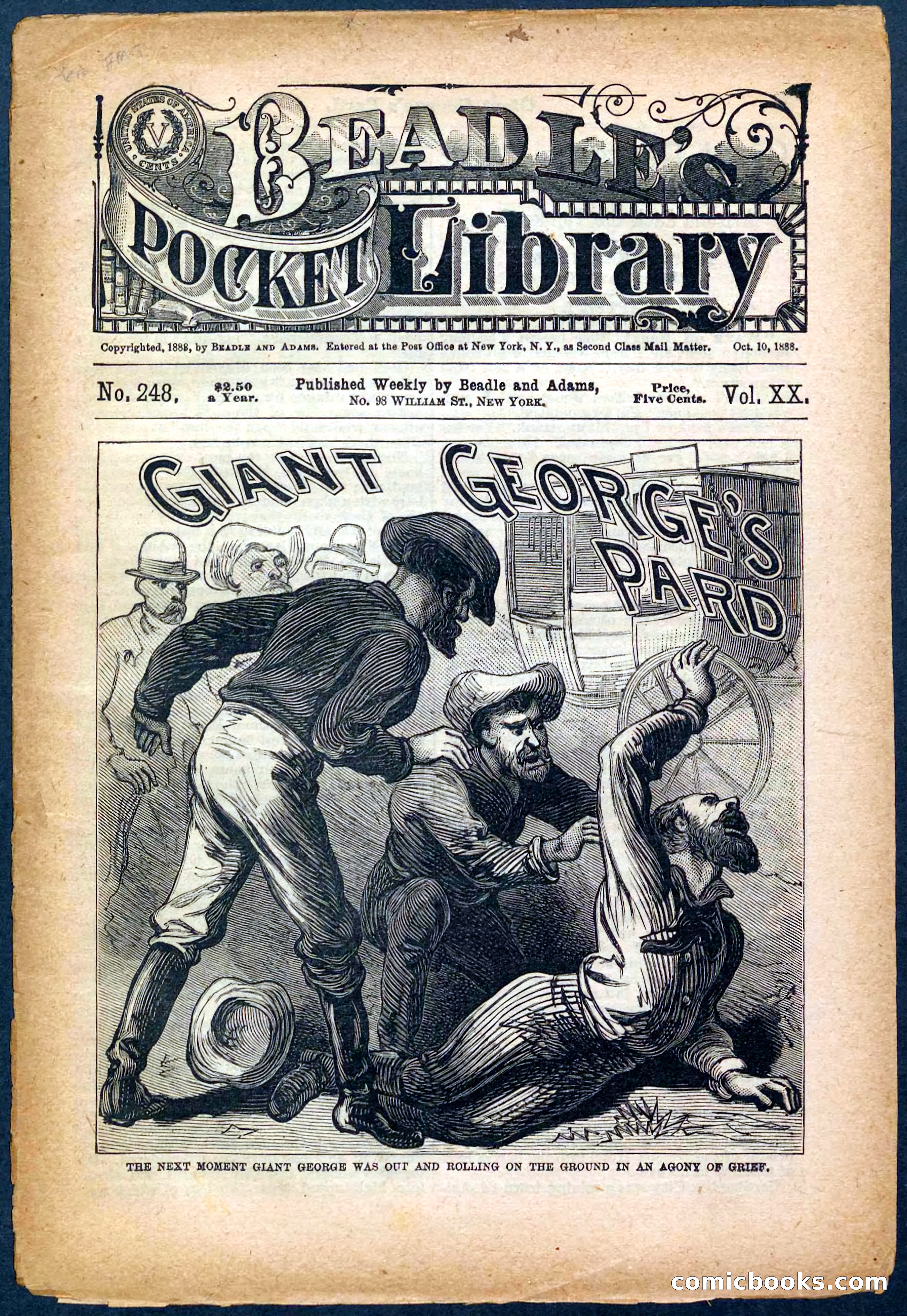 Beadle's Pocket Library No. 248