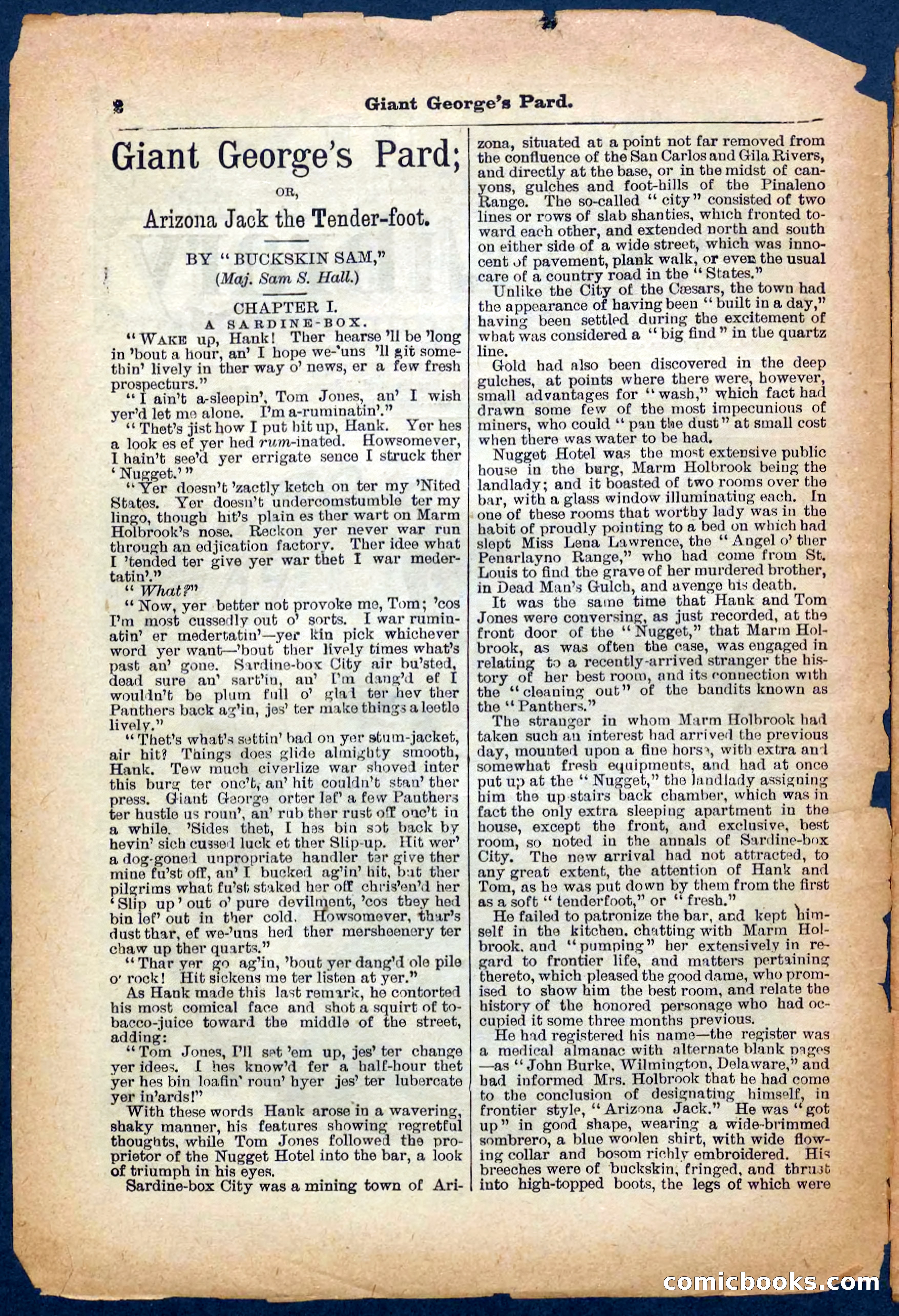 Beadle's Pocket Library No. 248 — page 2 of 32