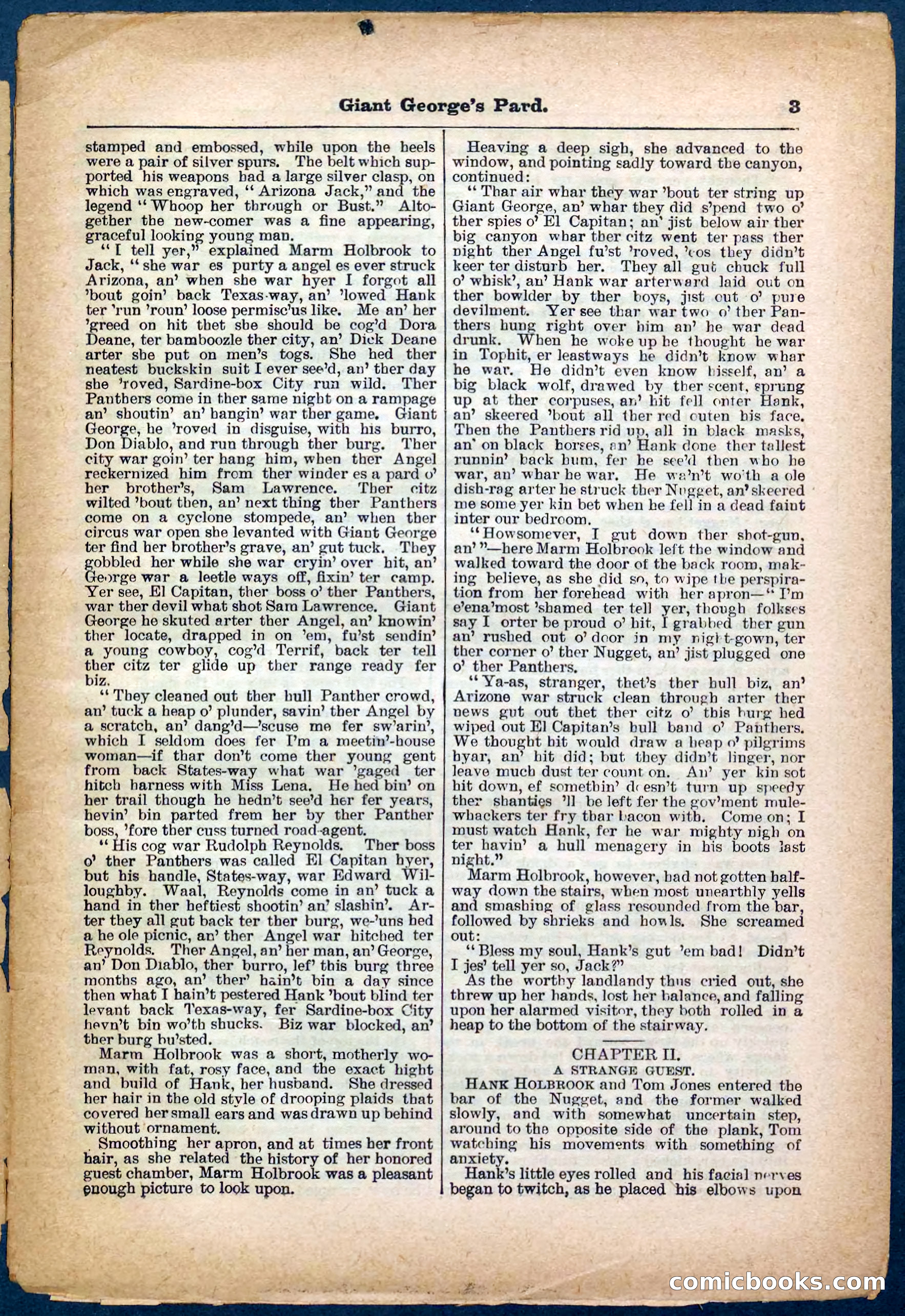 Beadle's Pocket Library No. 248 — page 3 of 32