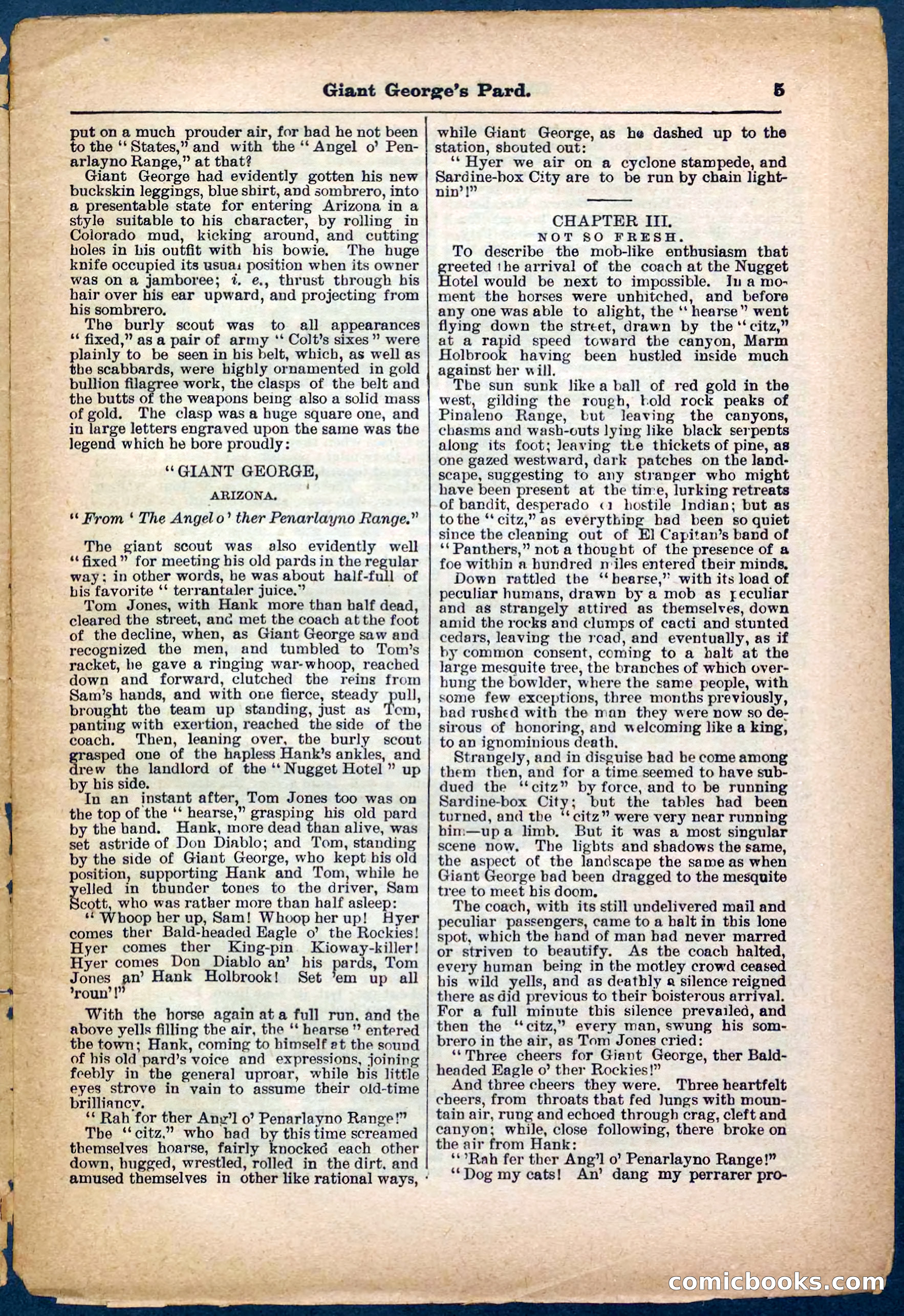 Beadle's Pocket Library No. 248 — page 5 of 32