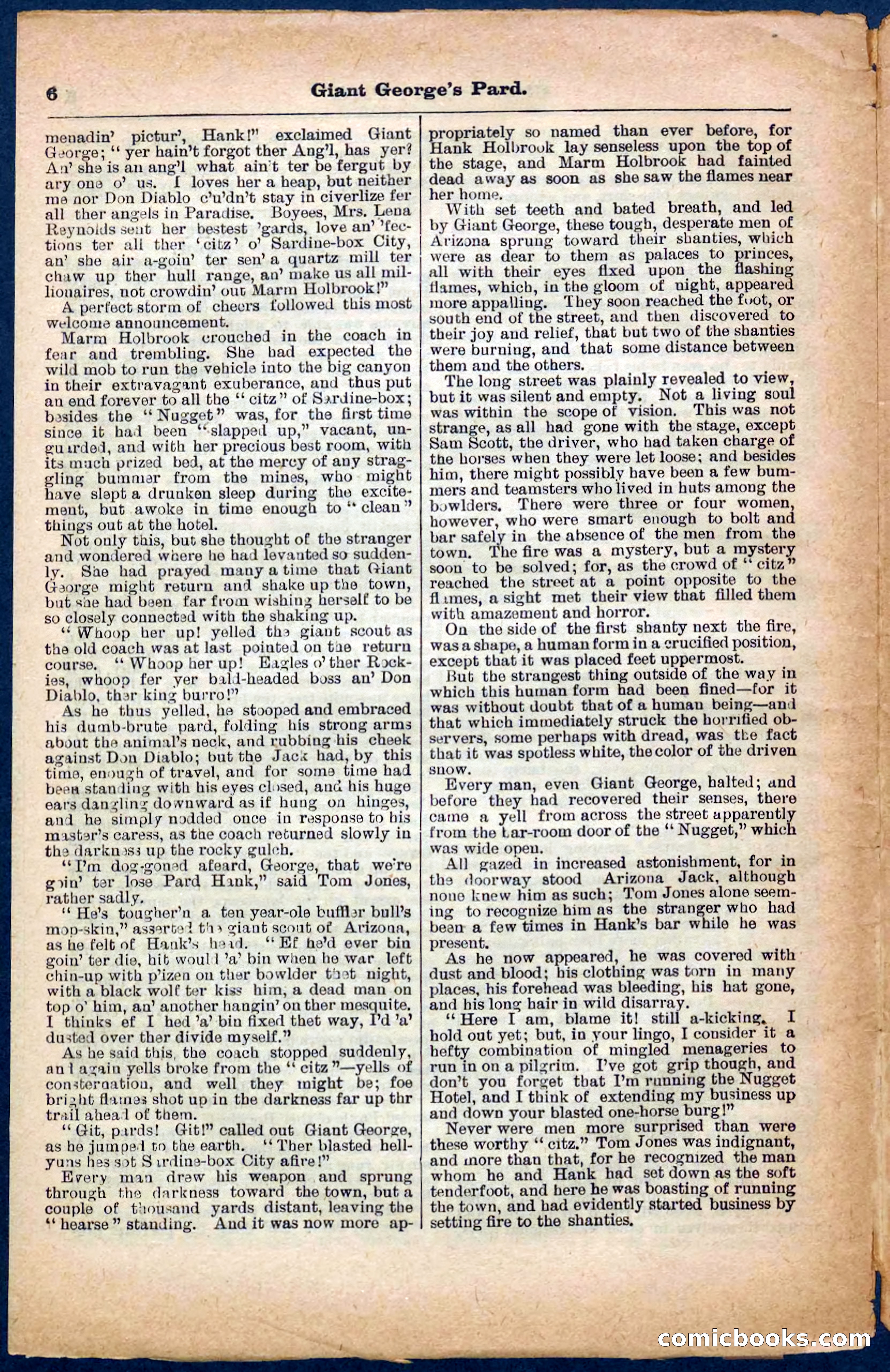 Beadle's Pocket Library No. 248 — page 6 of 32