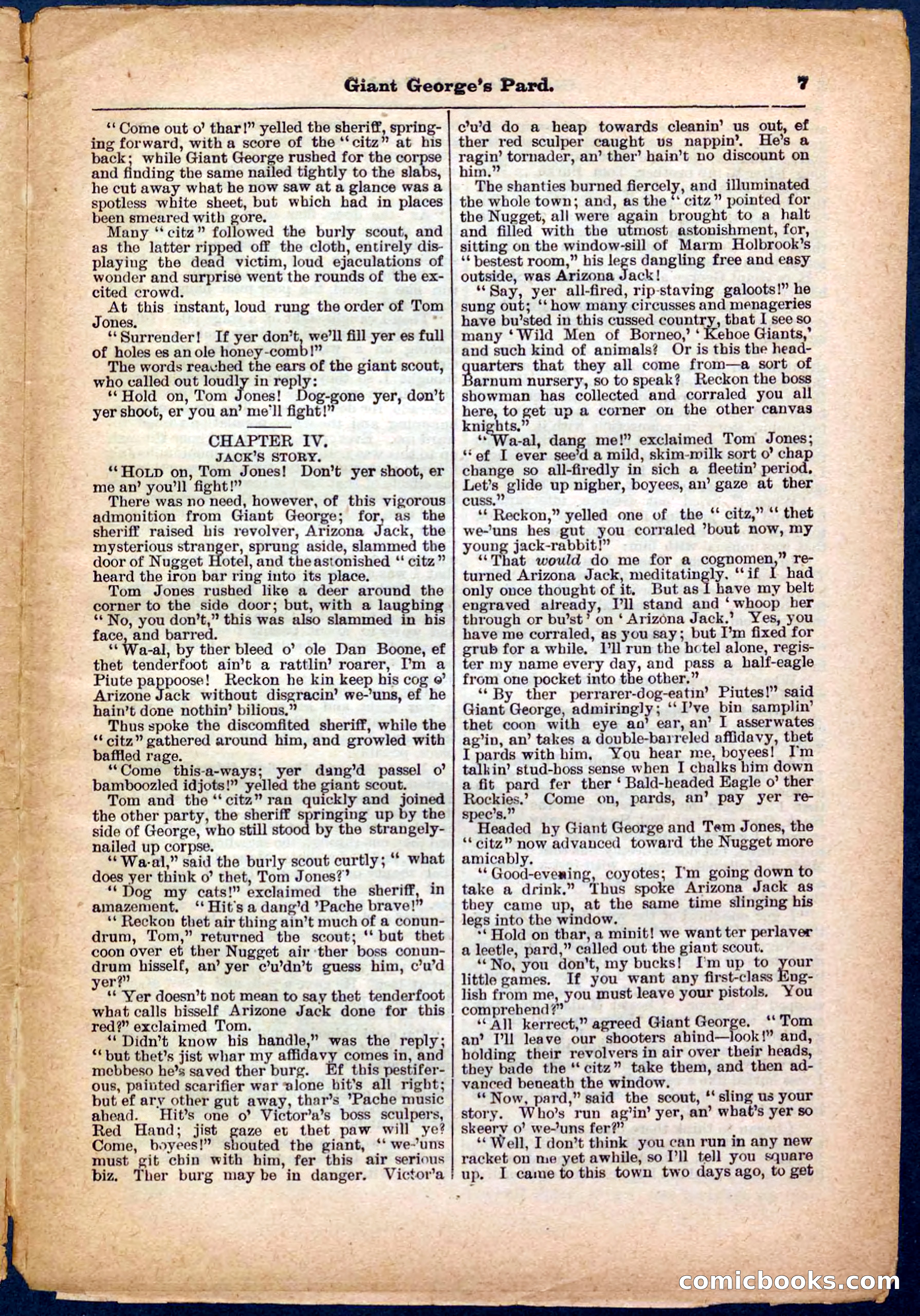 Beadle's Pocket Library No. 248 — page 7 of 32