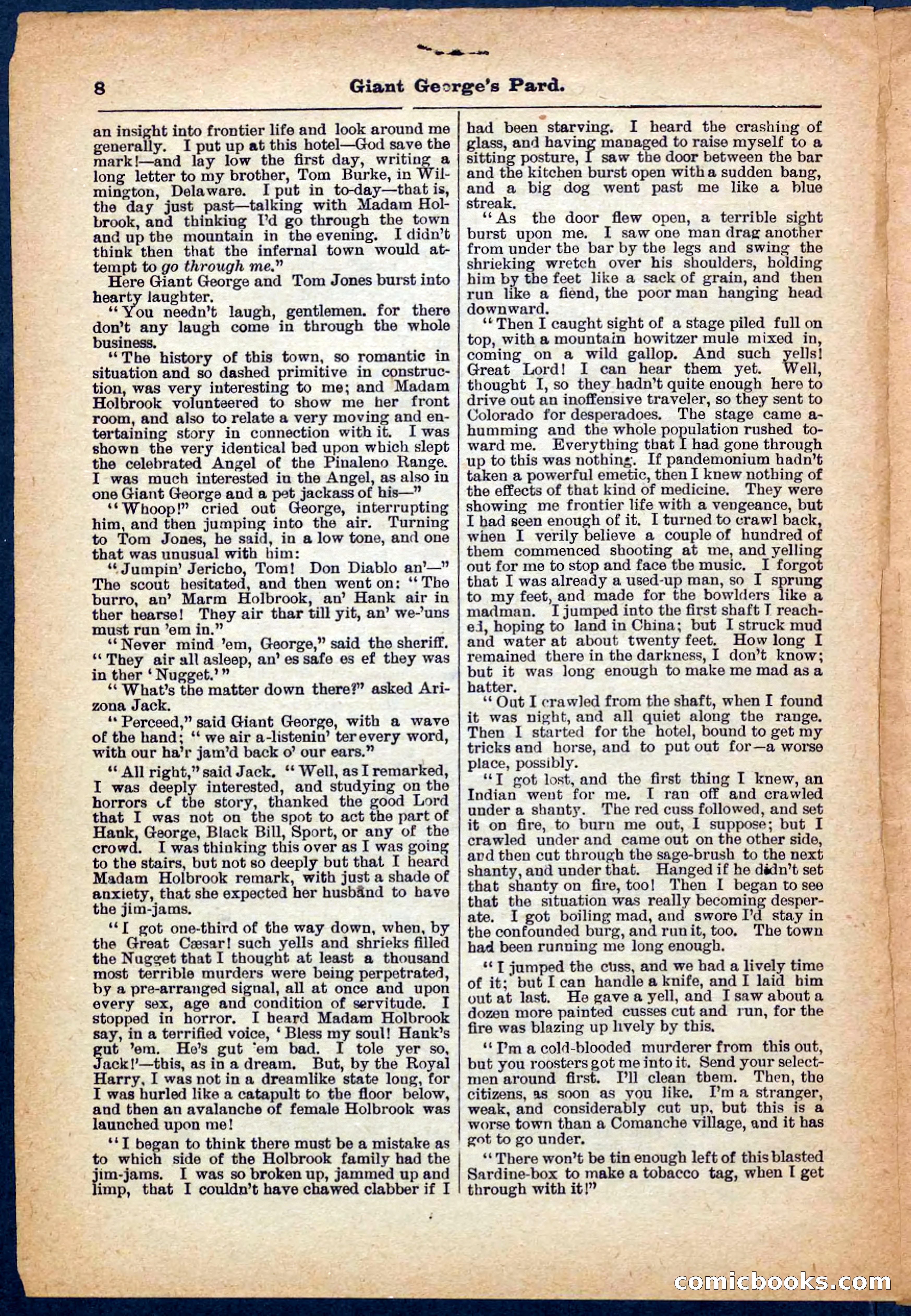 Beadle's Pocket Library No. 248 — page 8 of 32