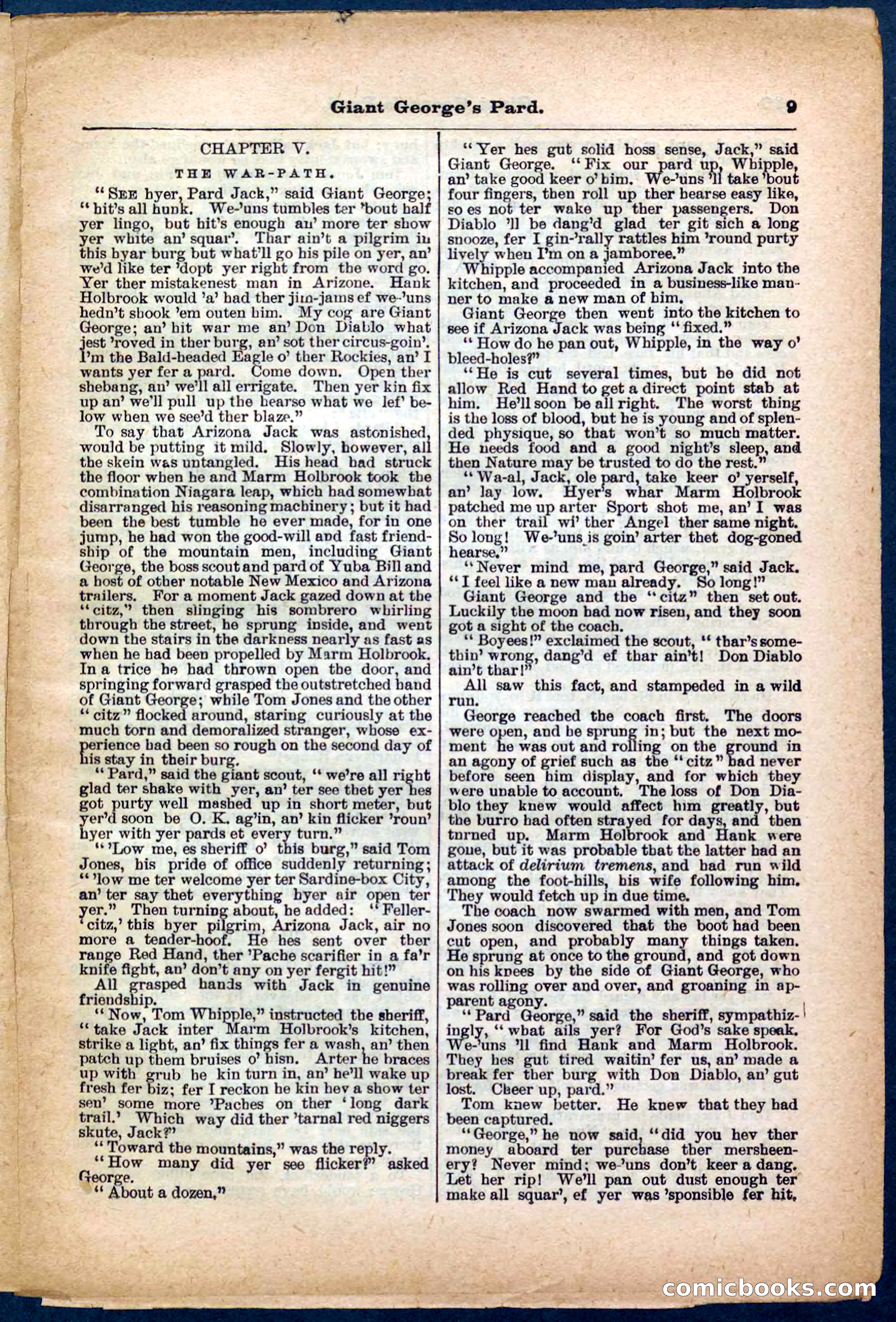 Beadle's Pocket Library No. 248 — page 9 of 32