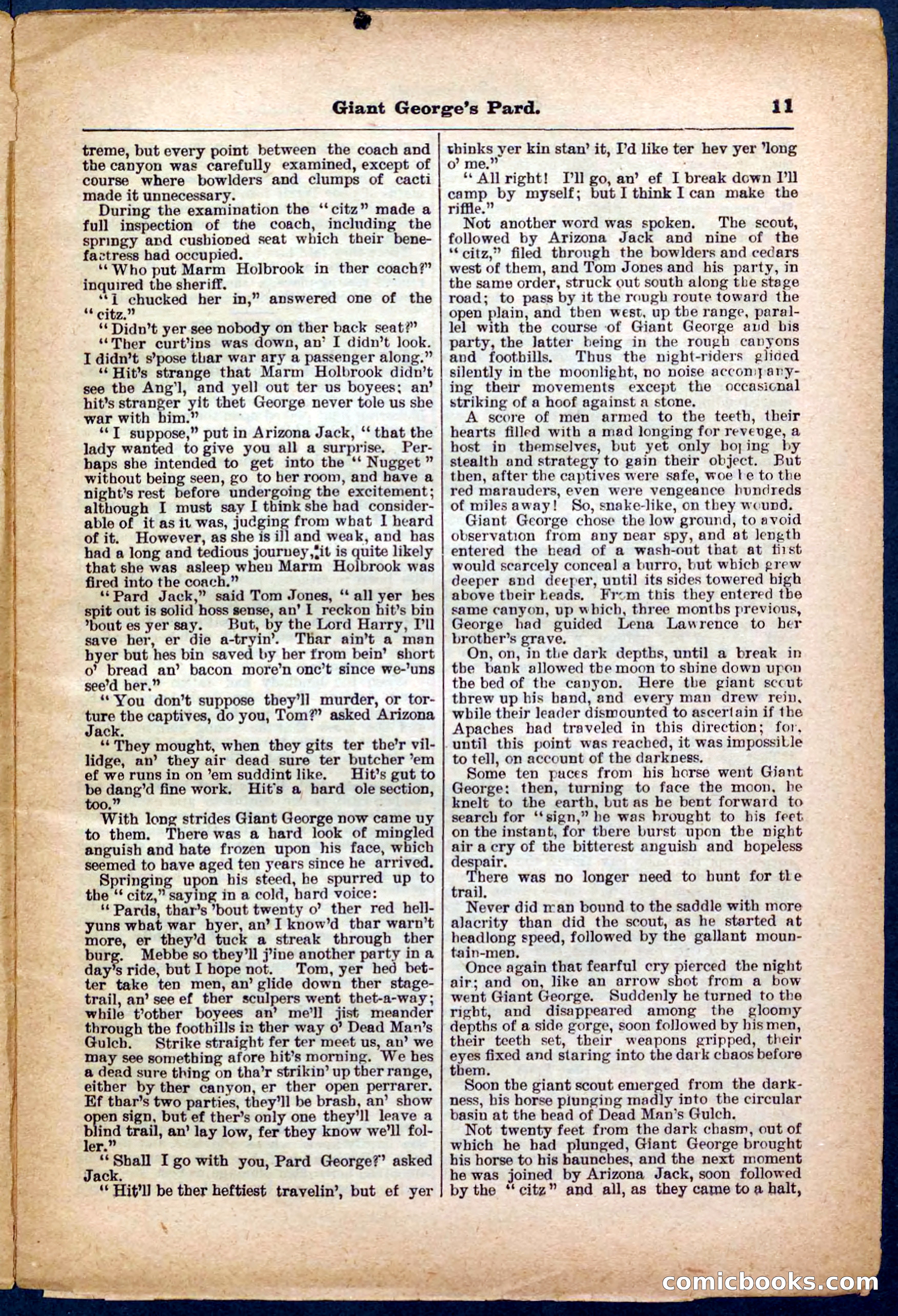 Beadle's Pocket Library No. 248 — page 11 of 32