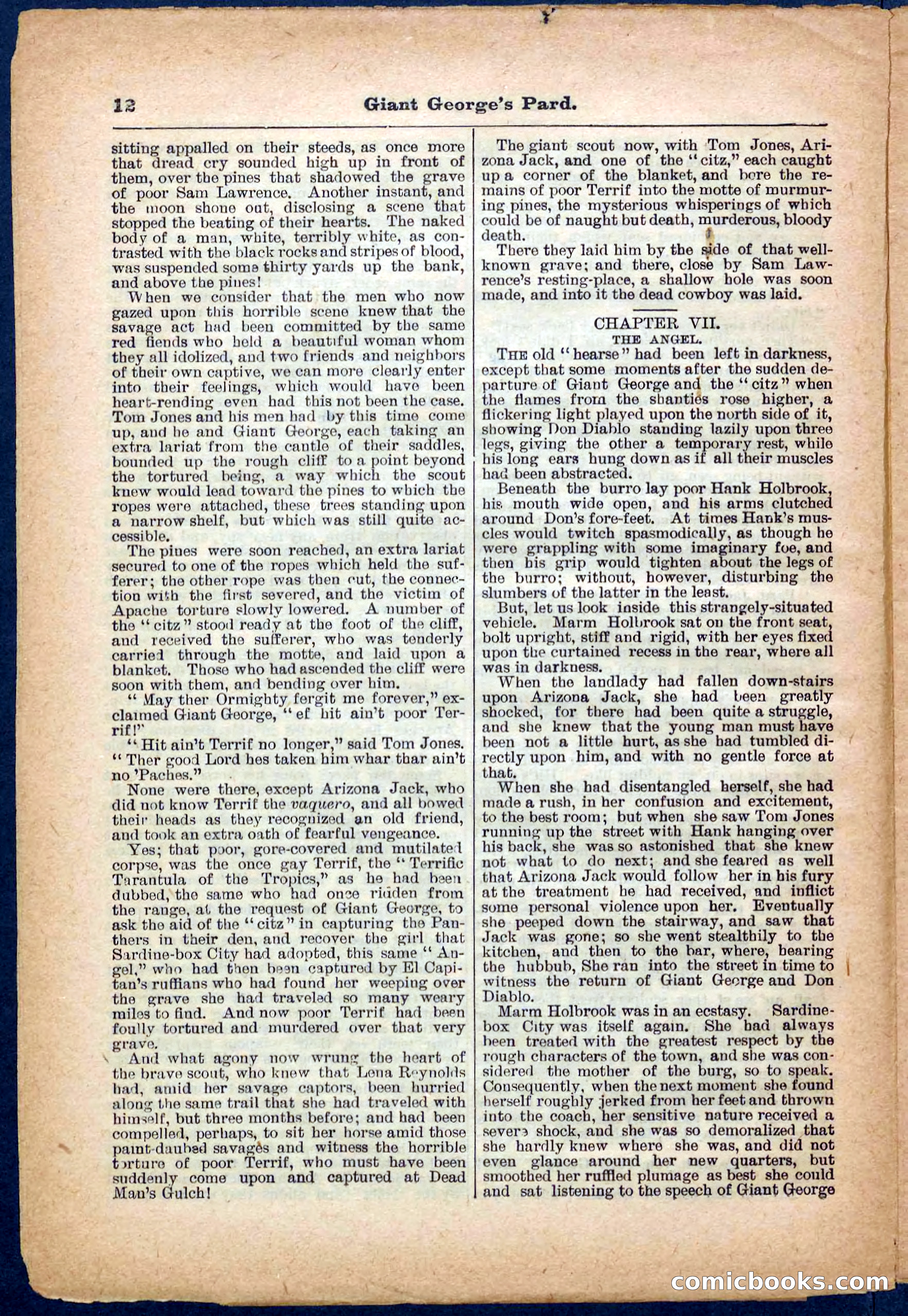 Beadle's Pocket Library No. 248 — page 12 of 32