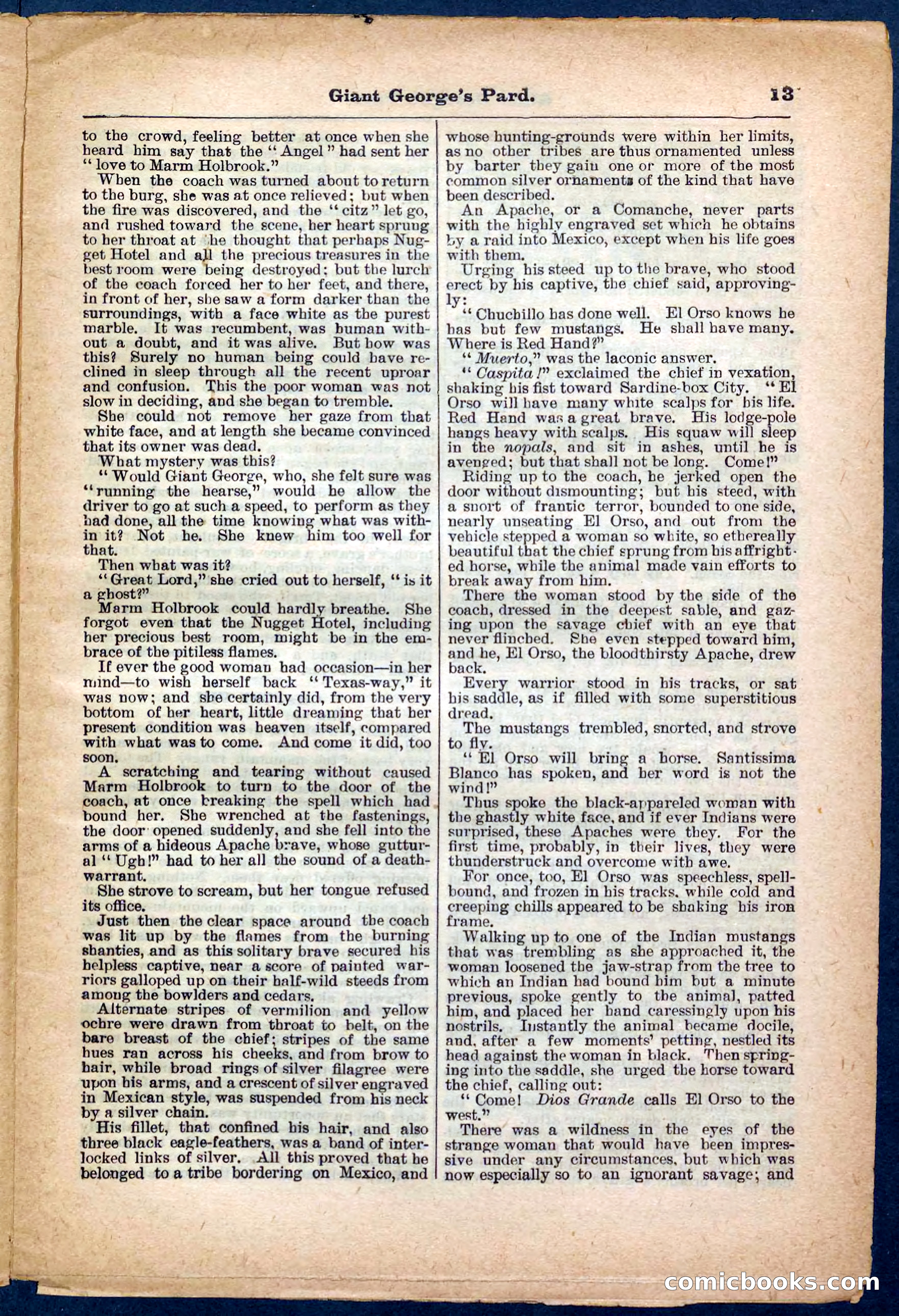 Beadle's Pocket Library No. 248 — page 13 of 32