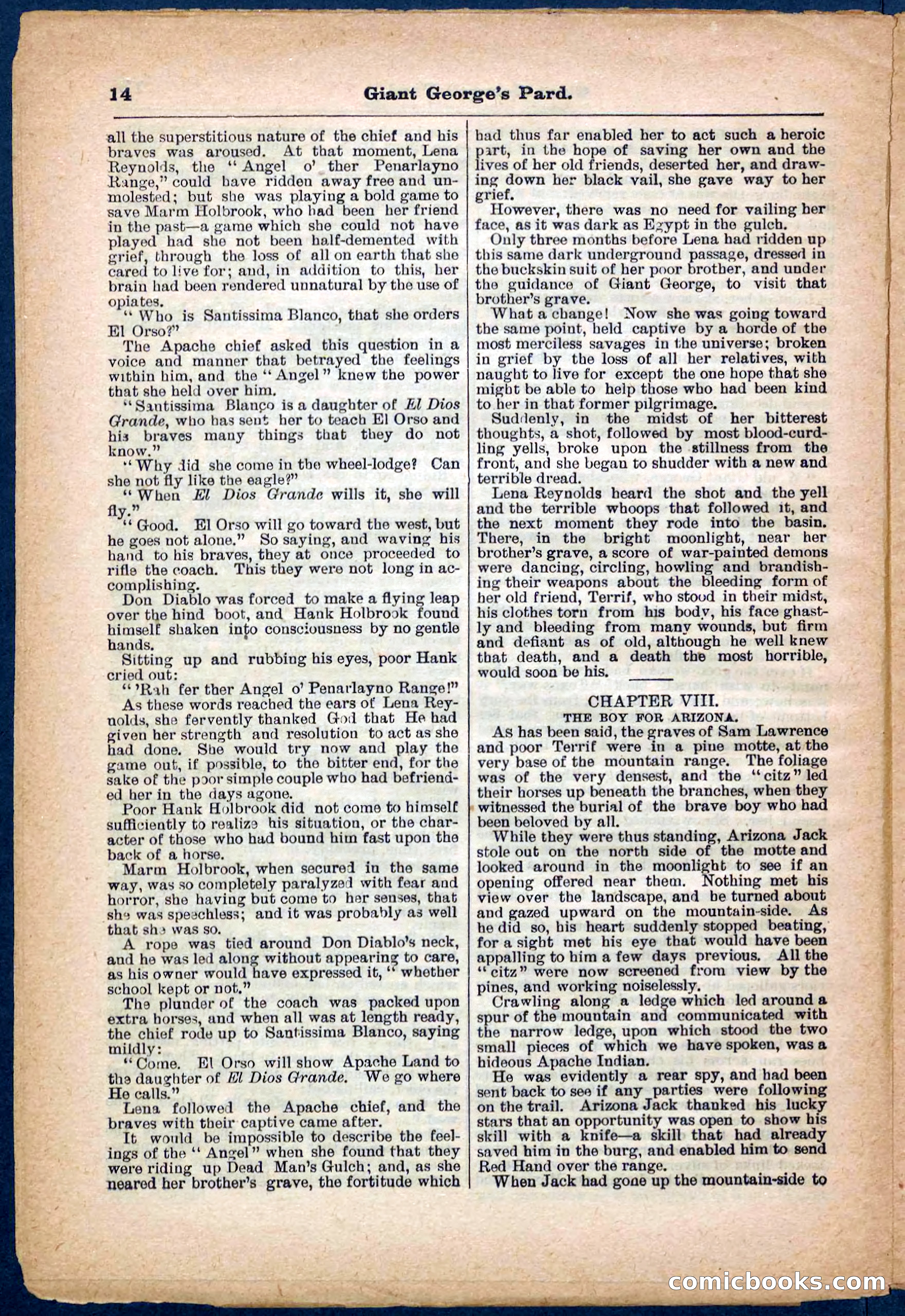 Beadle's Pocket Library No. 248 — page 14 of 32