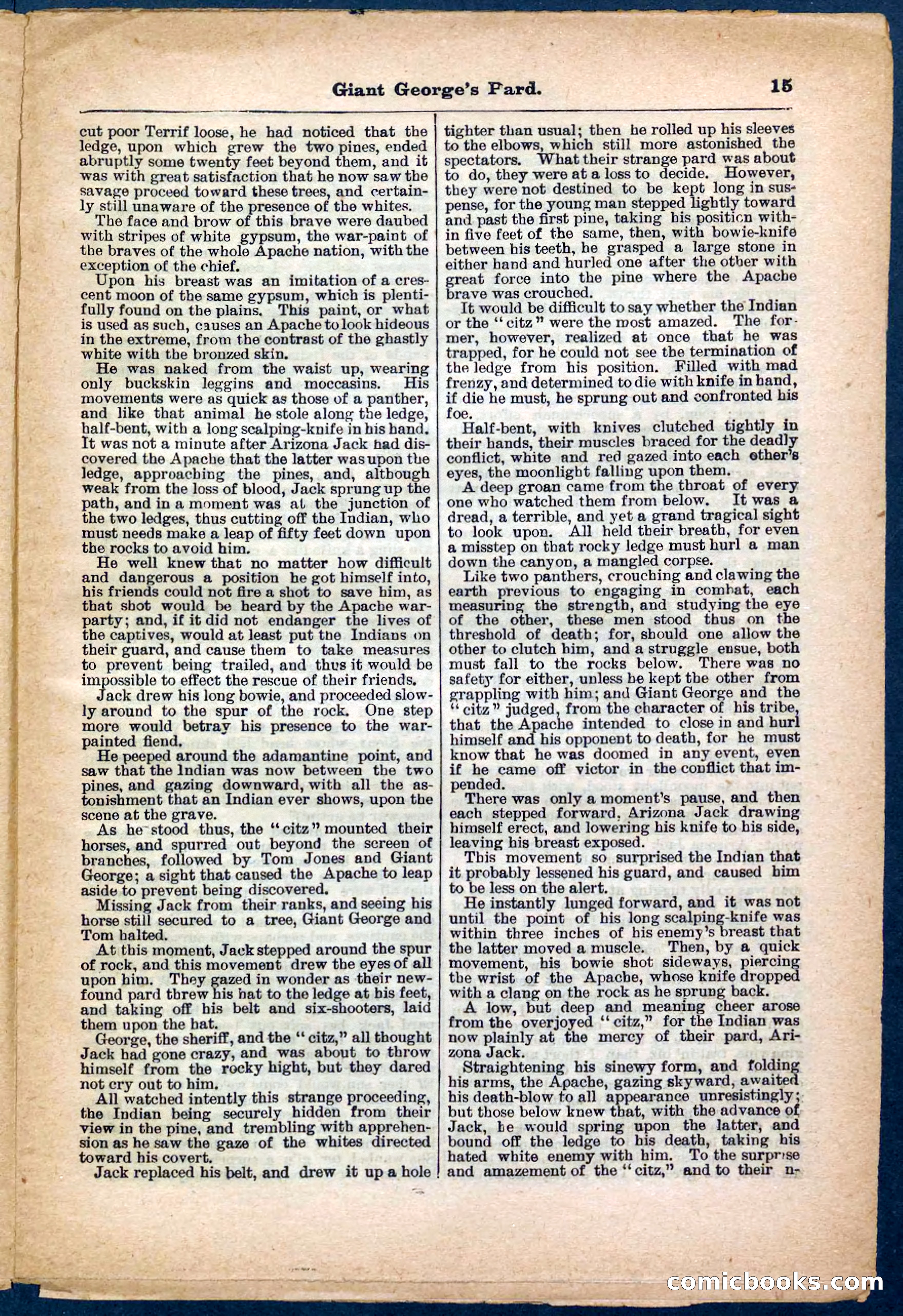 Beadle's Pocket Library No. 248 — page 15 of 32