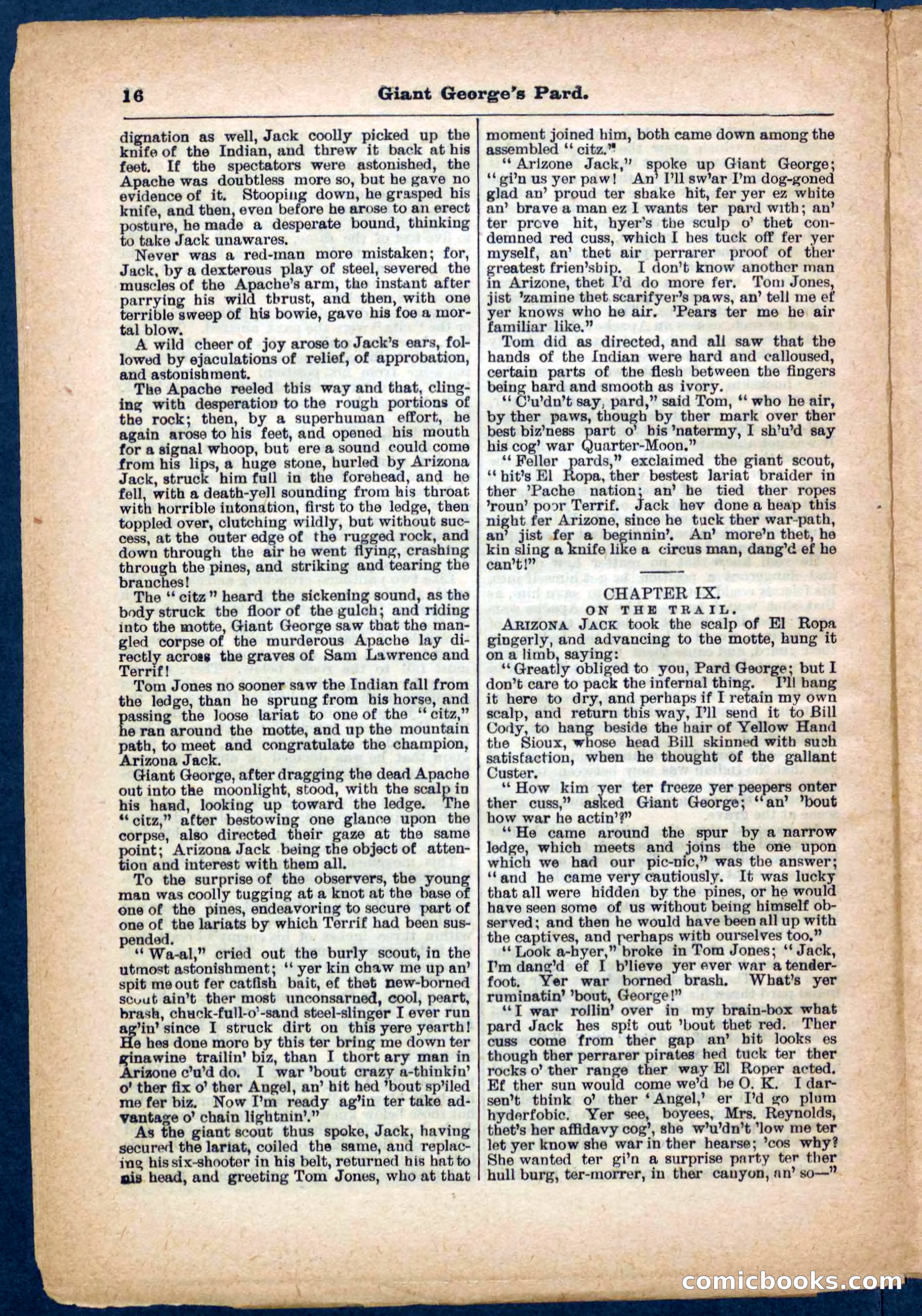Beadle's Pocket Library No. 248 — page 16 of 32