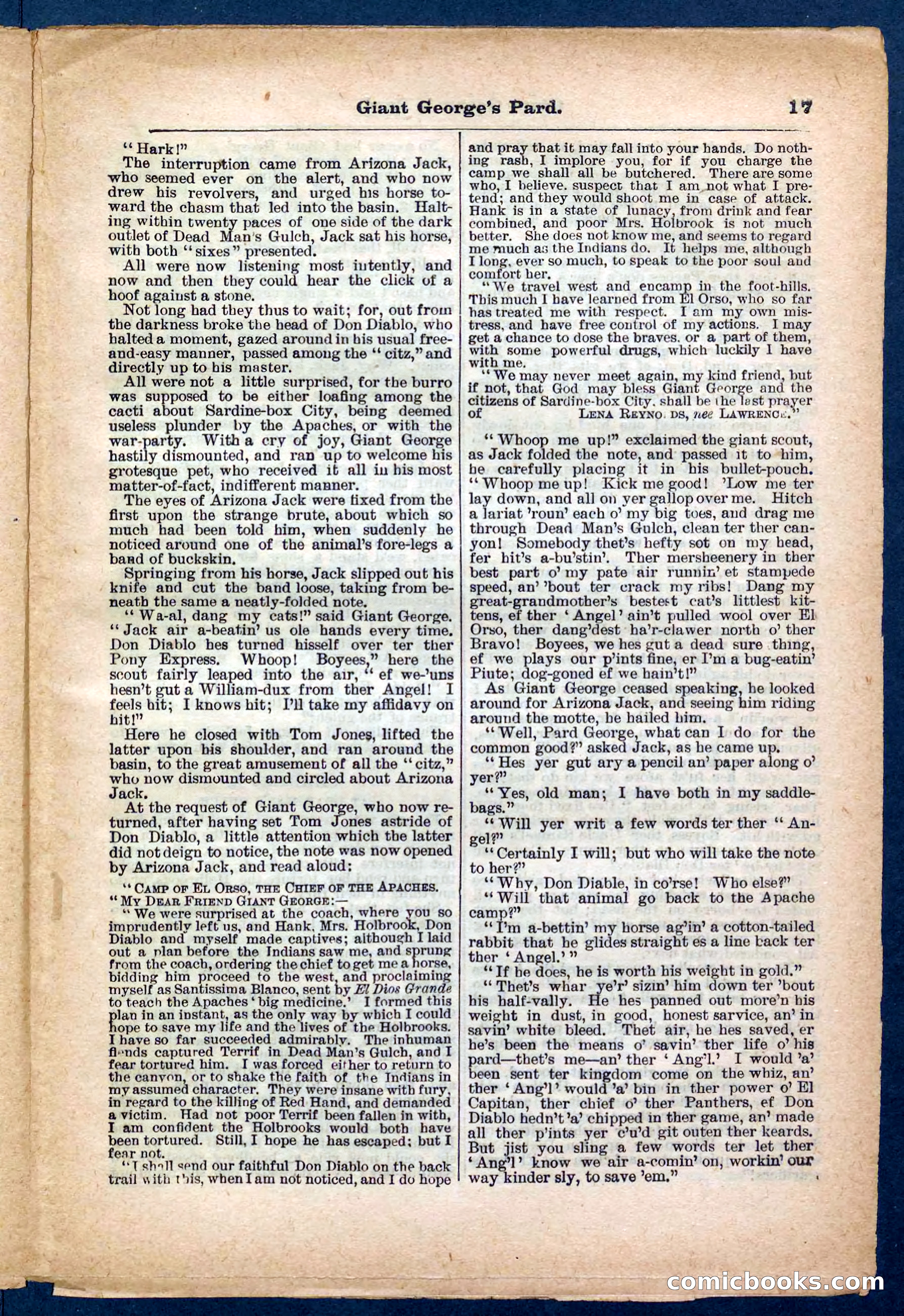 Beadle's Pocket Library No. 248 — page 17 of 32