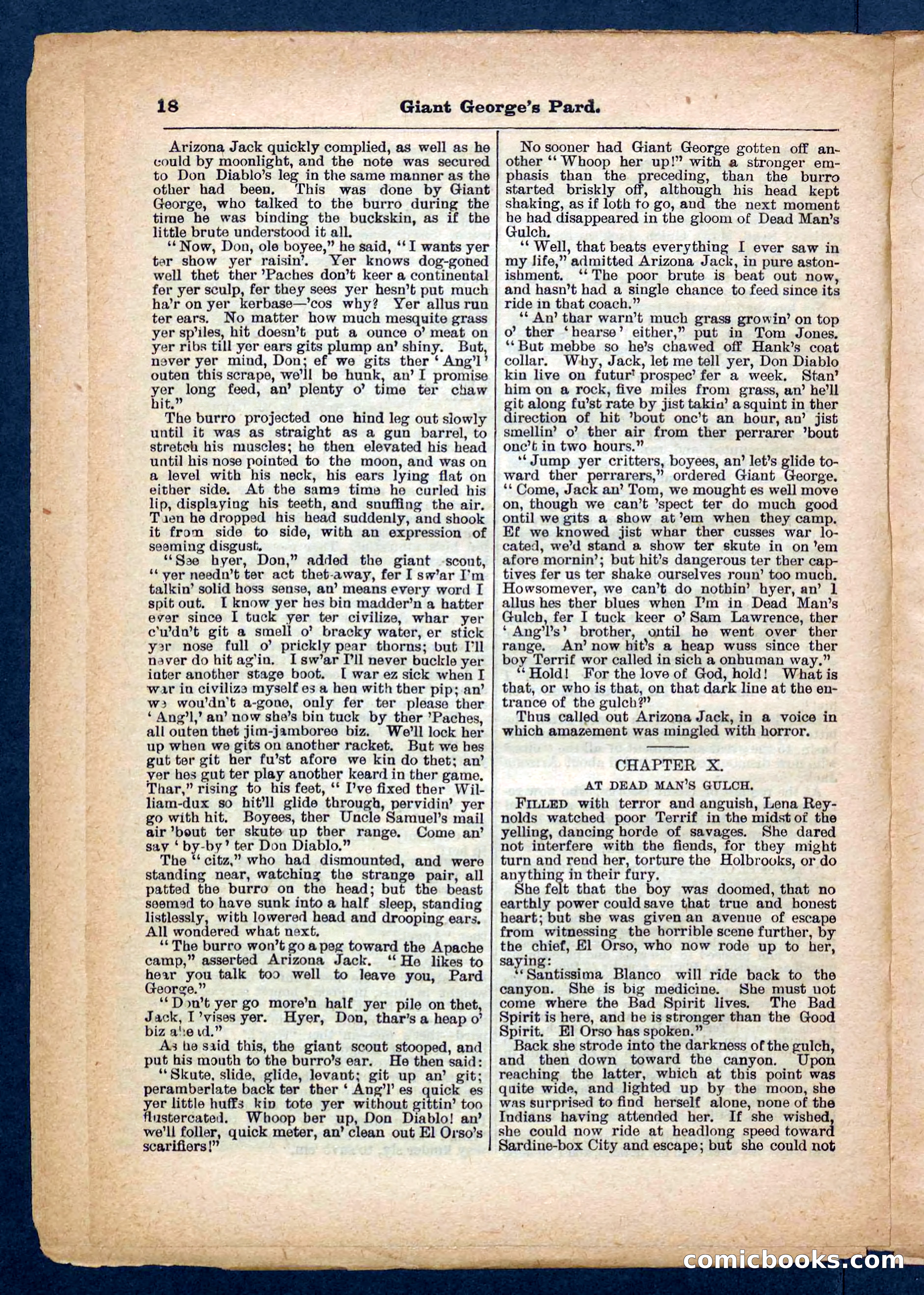 Beadle's Pocket Library No. 248 — page 18 of 32
