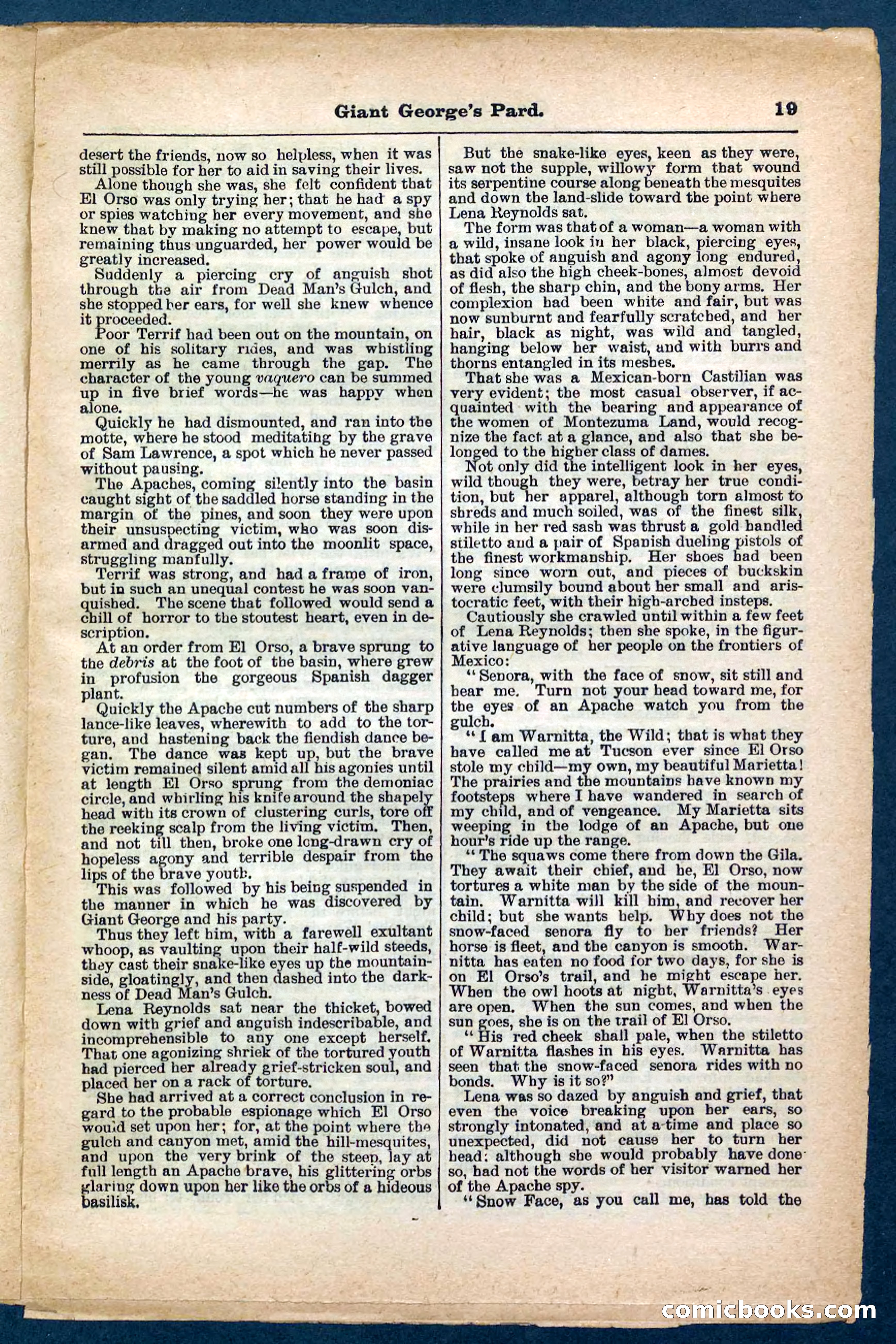 Beadle's Pocket Library No. 248 — page 19 of 32