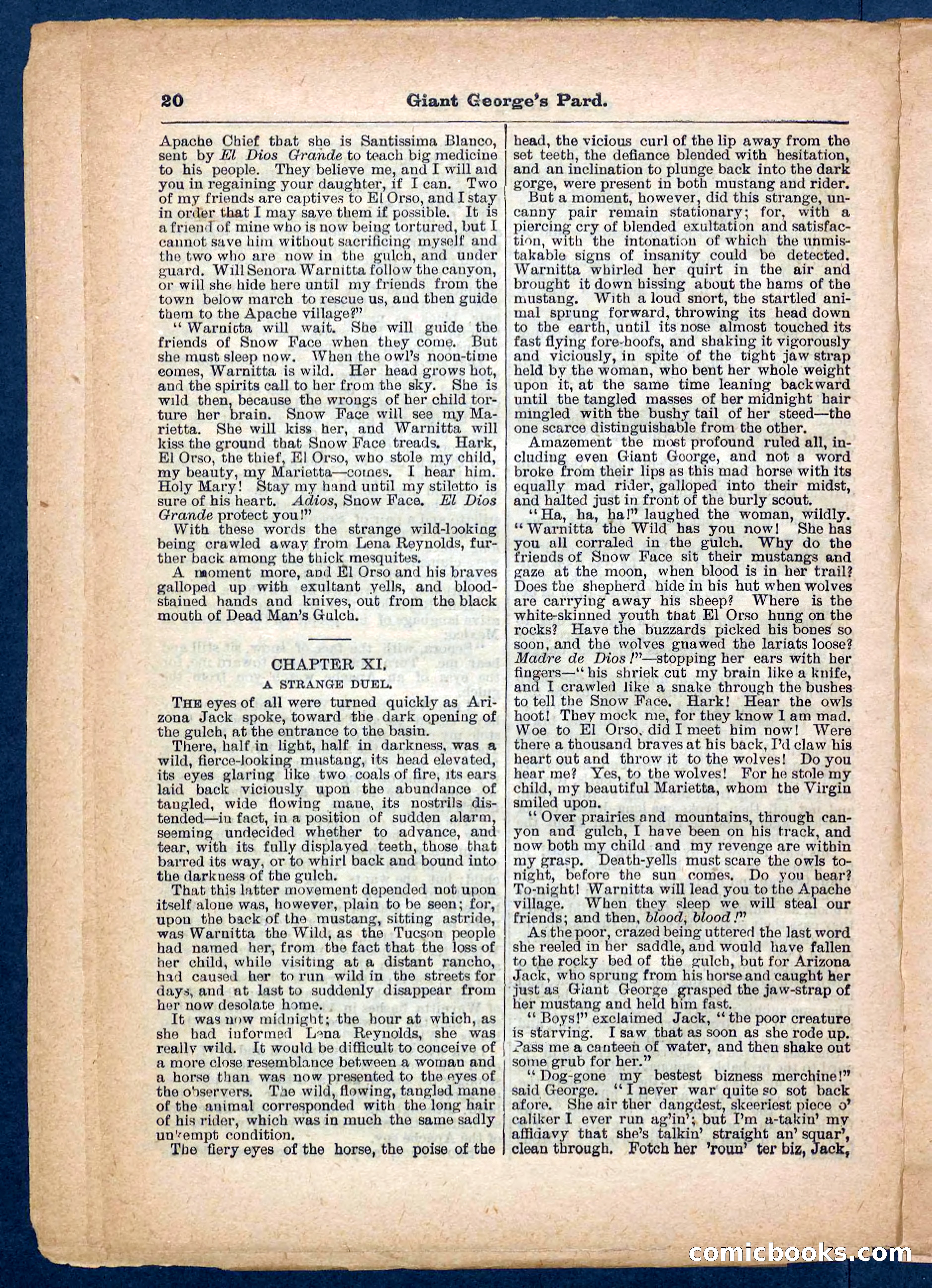 Beadle's Pocket Library No. 248 — page 20 of 32
