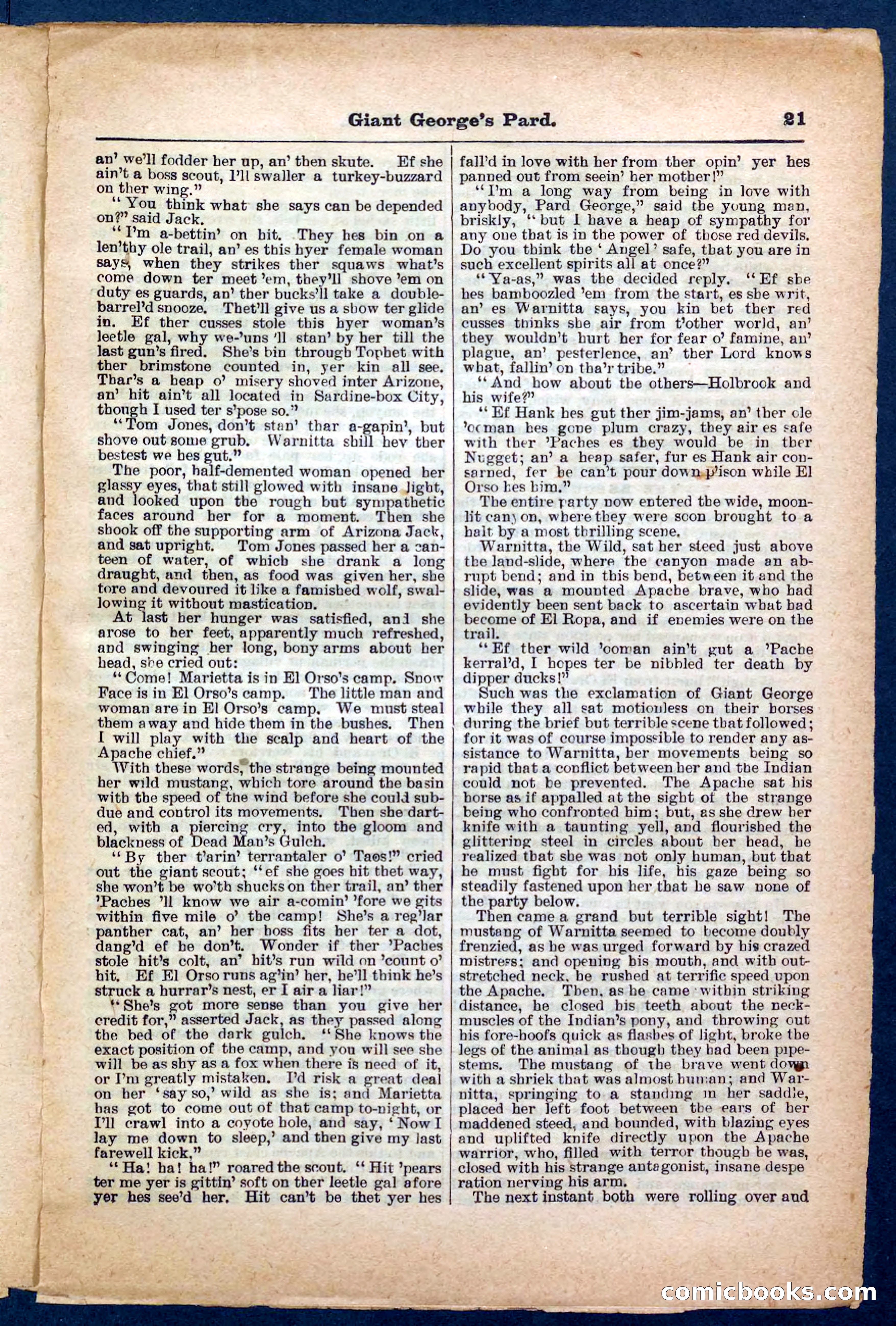 Beadle's Pocket Library No. 248 — page 21 of 32