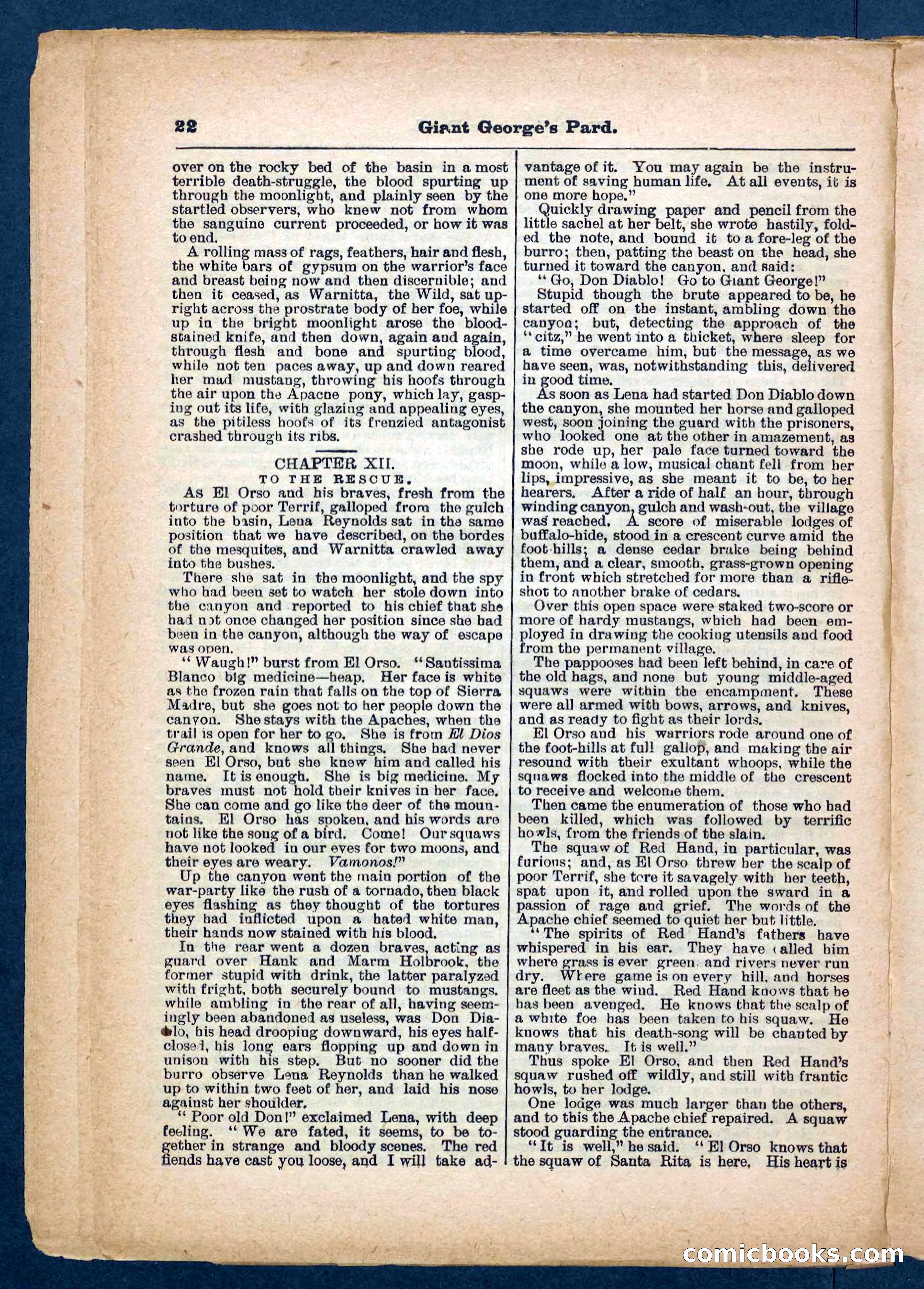 Beadle's Pocket Library No. 248 — page 22 of 32