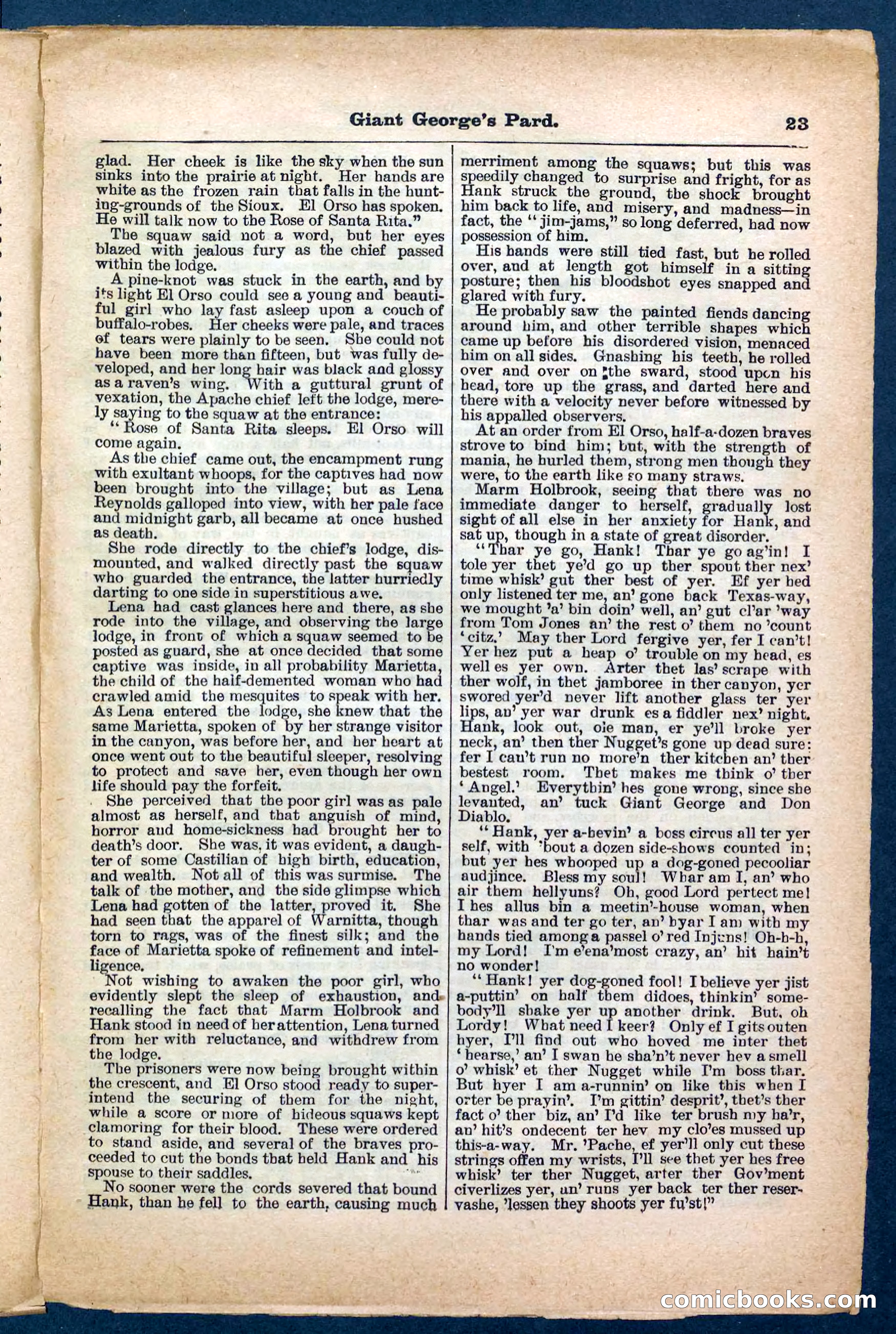 Beadle's Pocket Library No. 248 — page 23 of 32