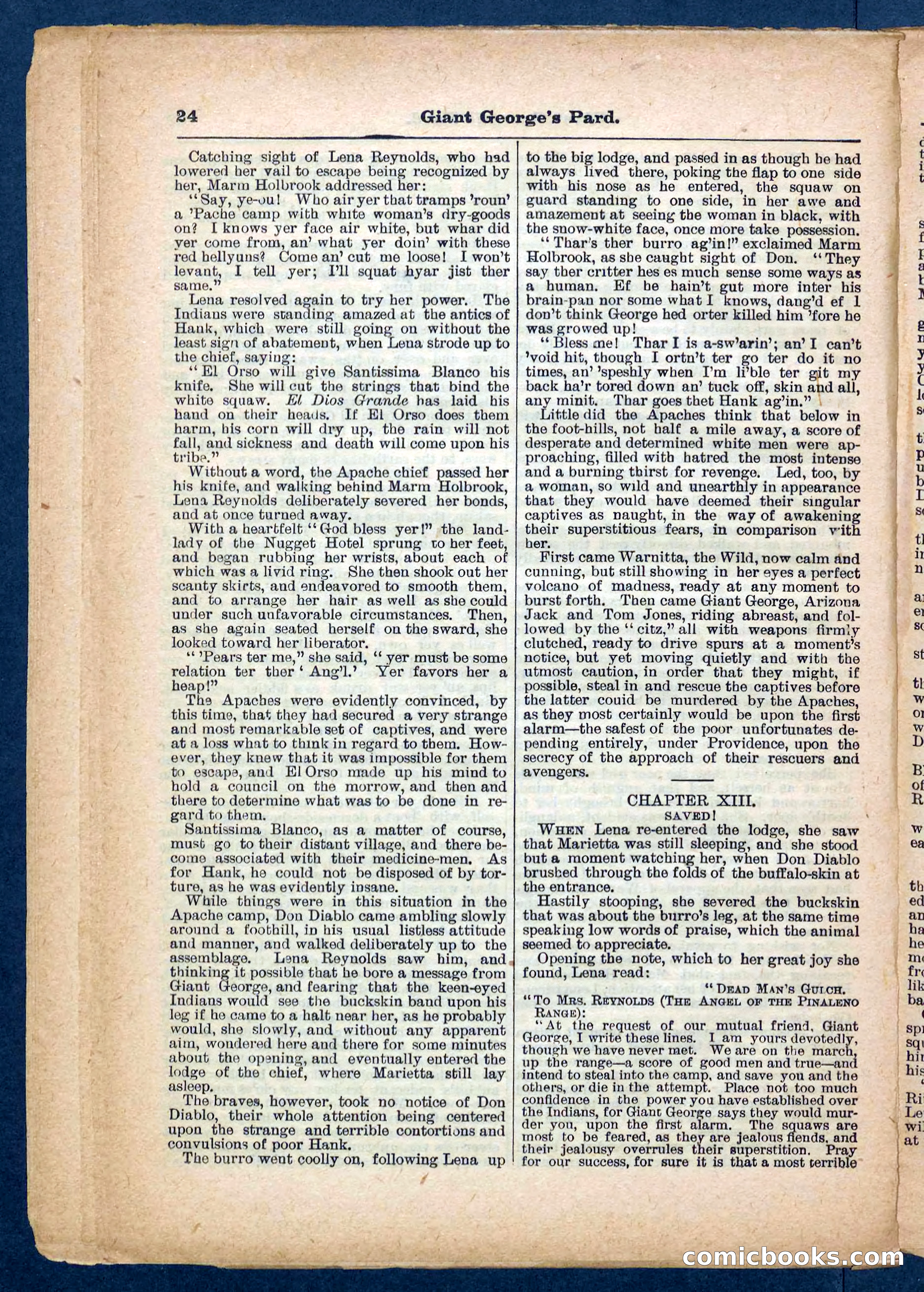 Beadle's Pocket Library No. 248 — page 24 of 32
