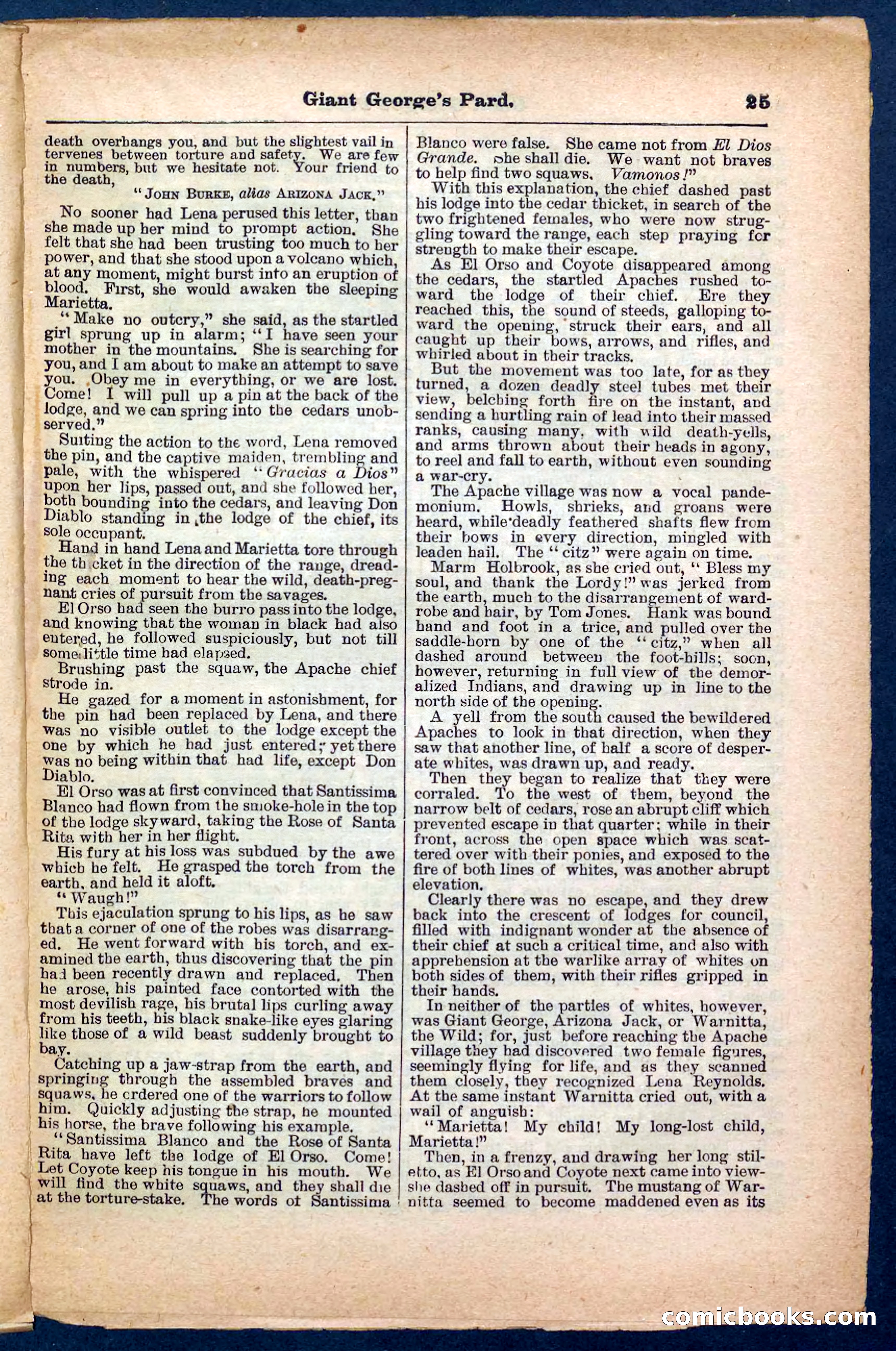 Beadle's Pocket Library No. 248 — page 25 of 32