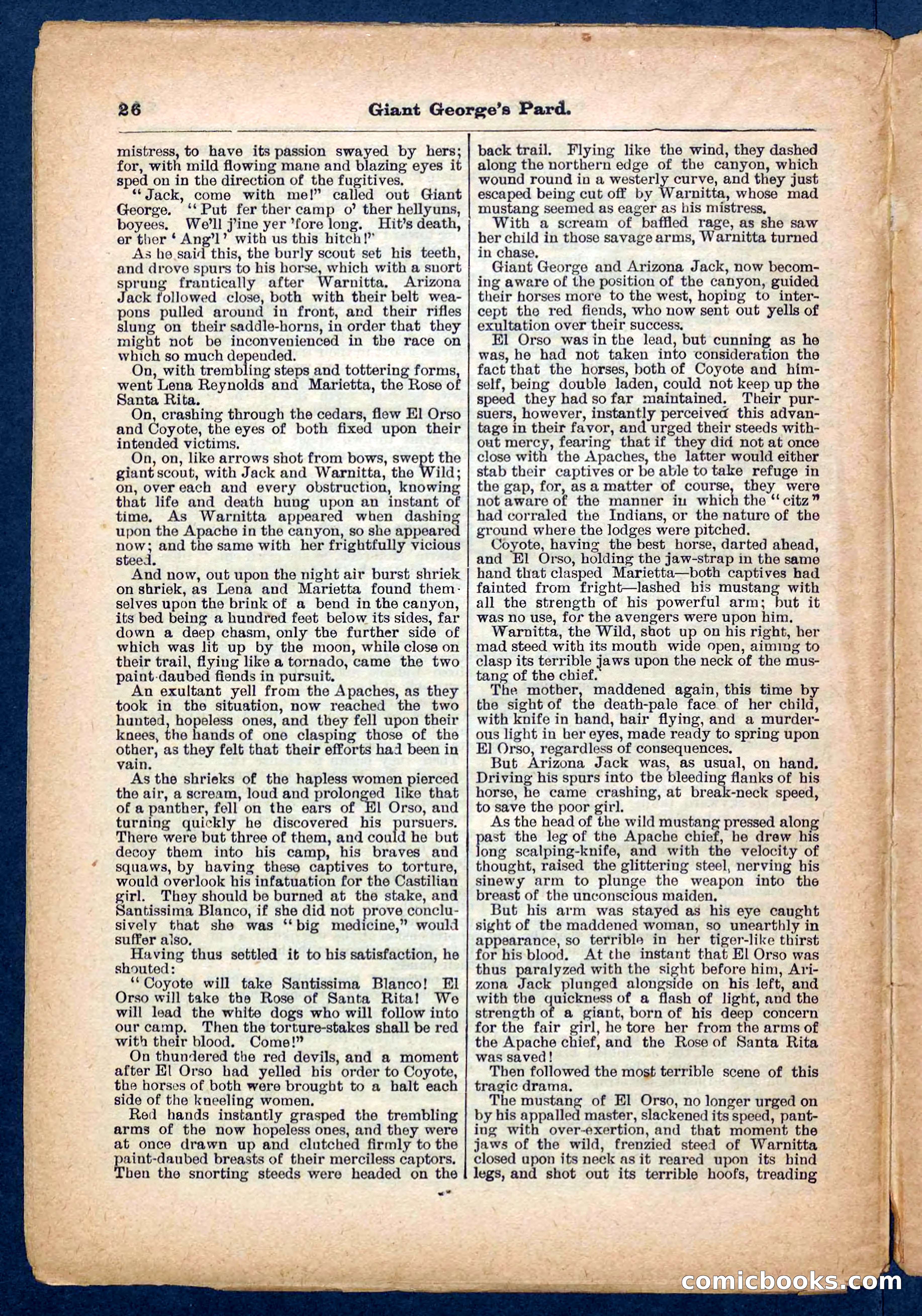 Beadle's Pocket Library No. 248 — page 26 of 32