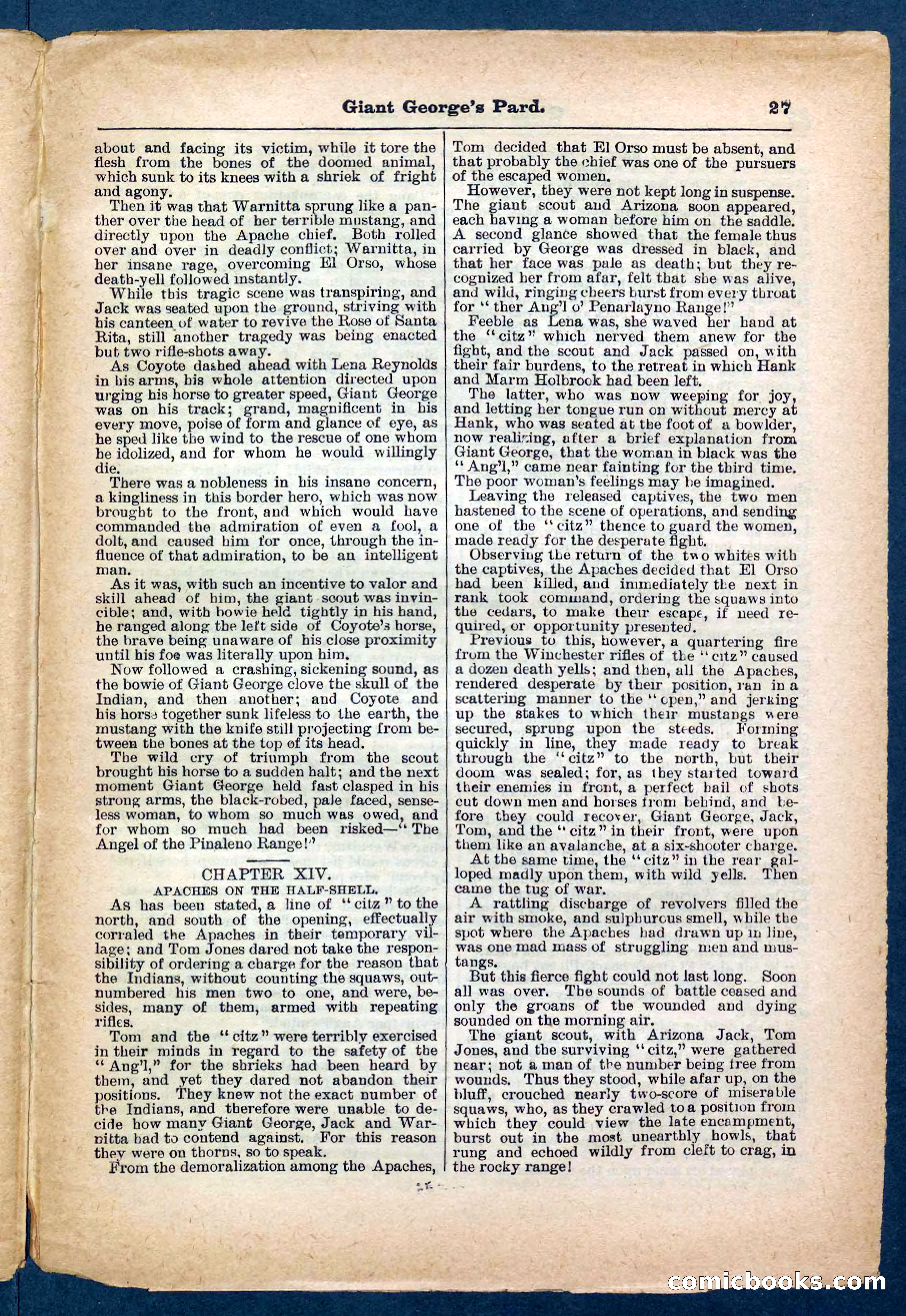 Beadle's Pocket Library No. 248 — page 27 of 32
