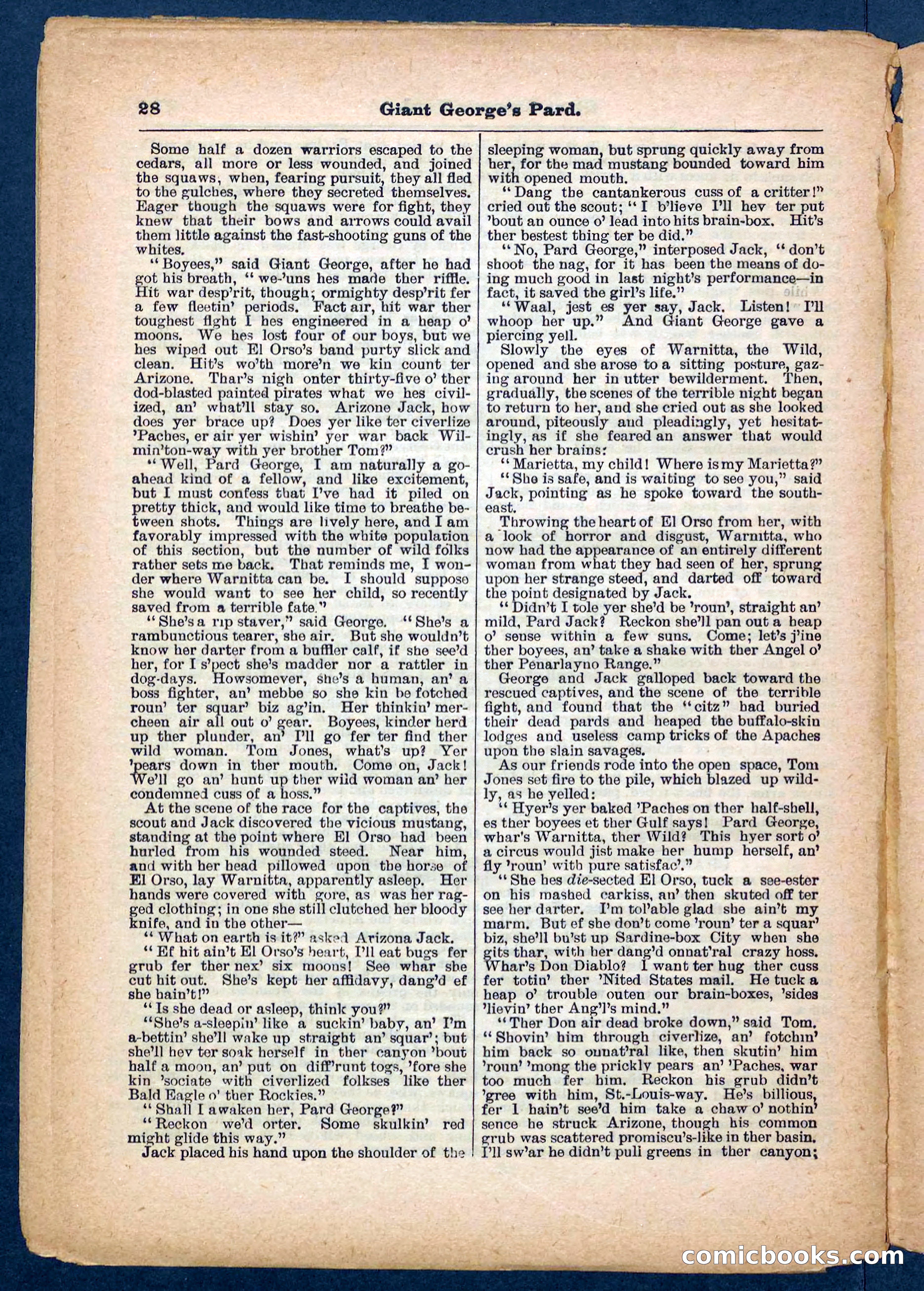 Beadle's Pocket Library No. 248 — page 28 of 32
