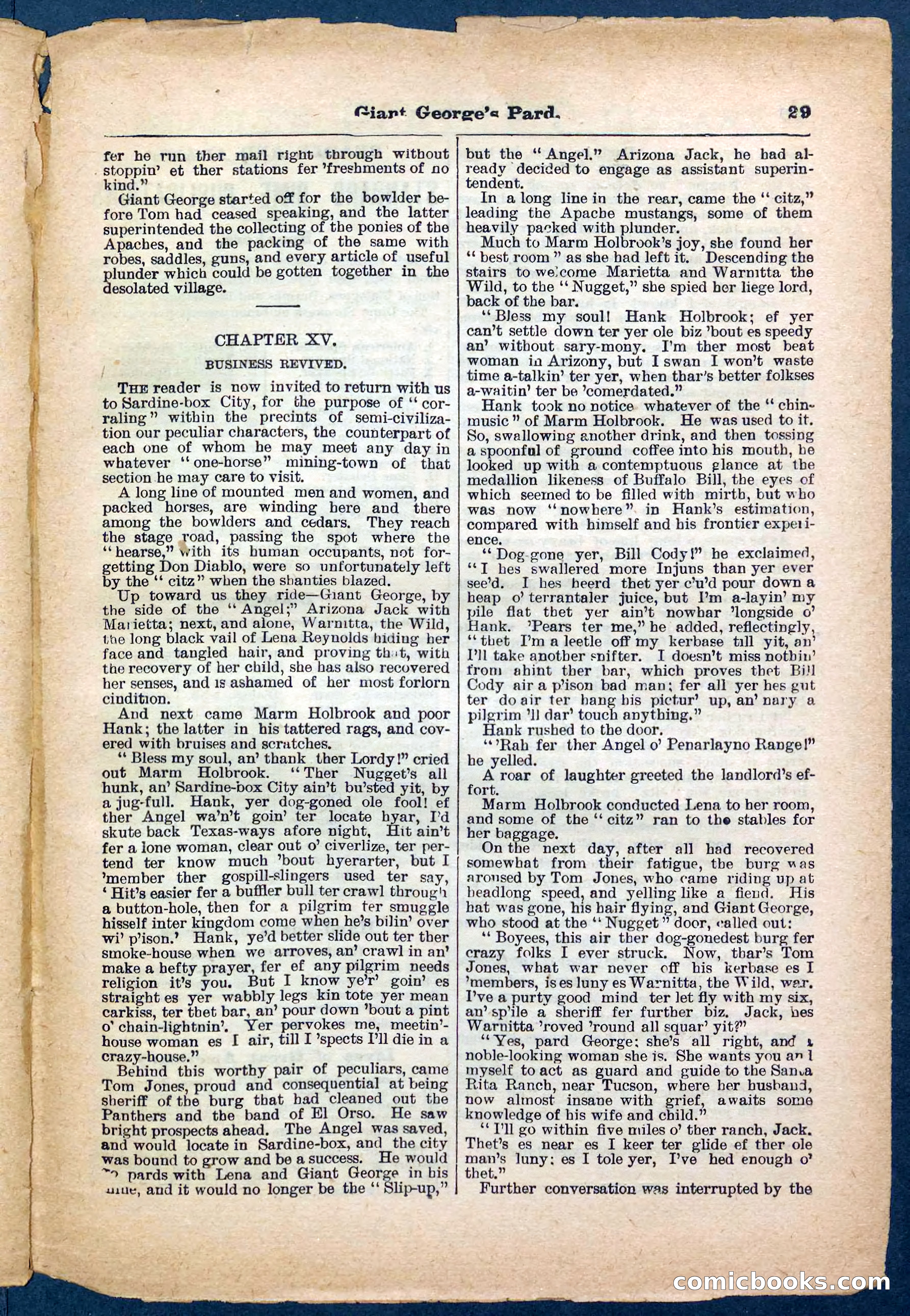 Beadle's Pocket Library No. 248 — page 29 of 32