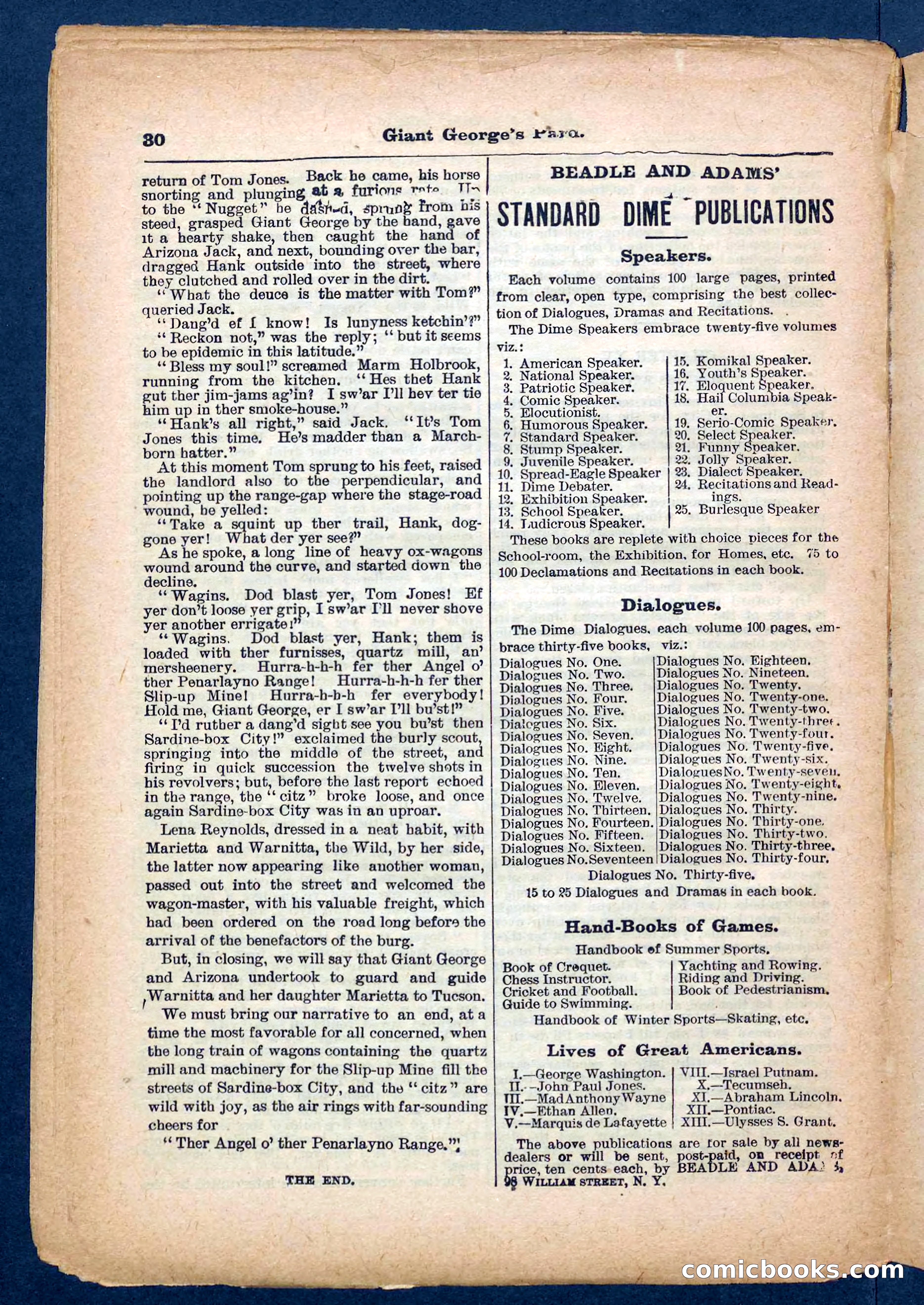 Beadle's Pocket Library No. 248 — page 30 of 32
