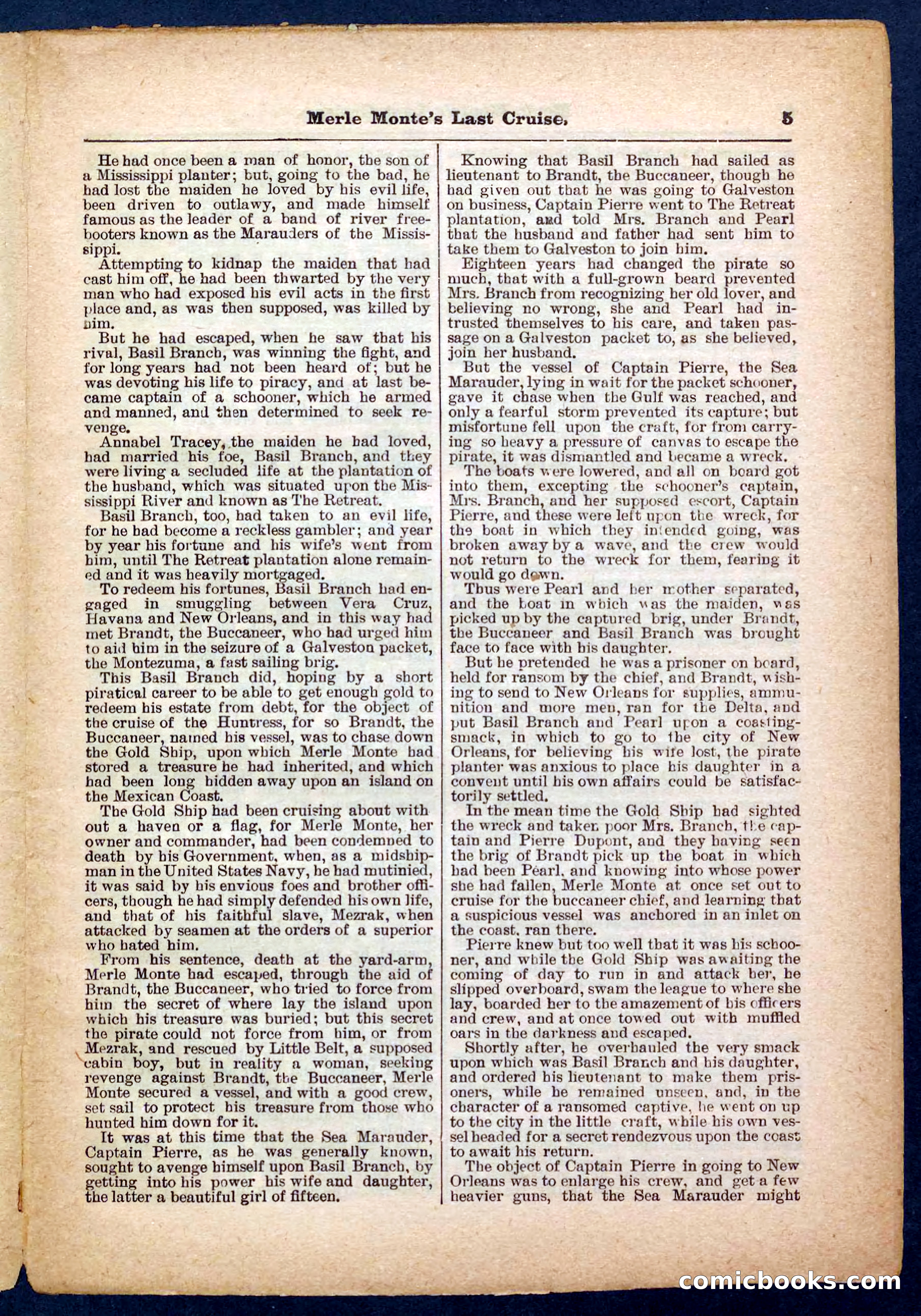 Beadle's Pocket Library No. 256 — page 5 of 32