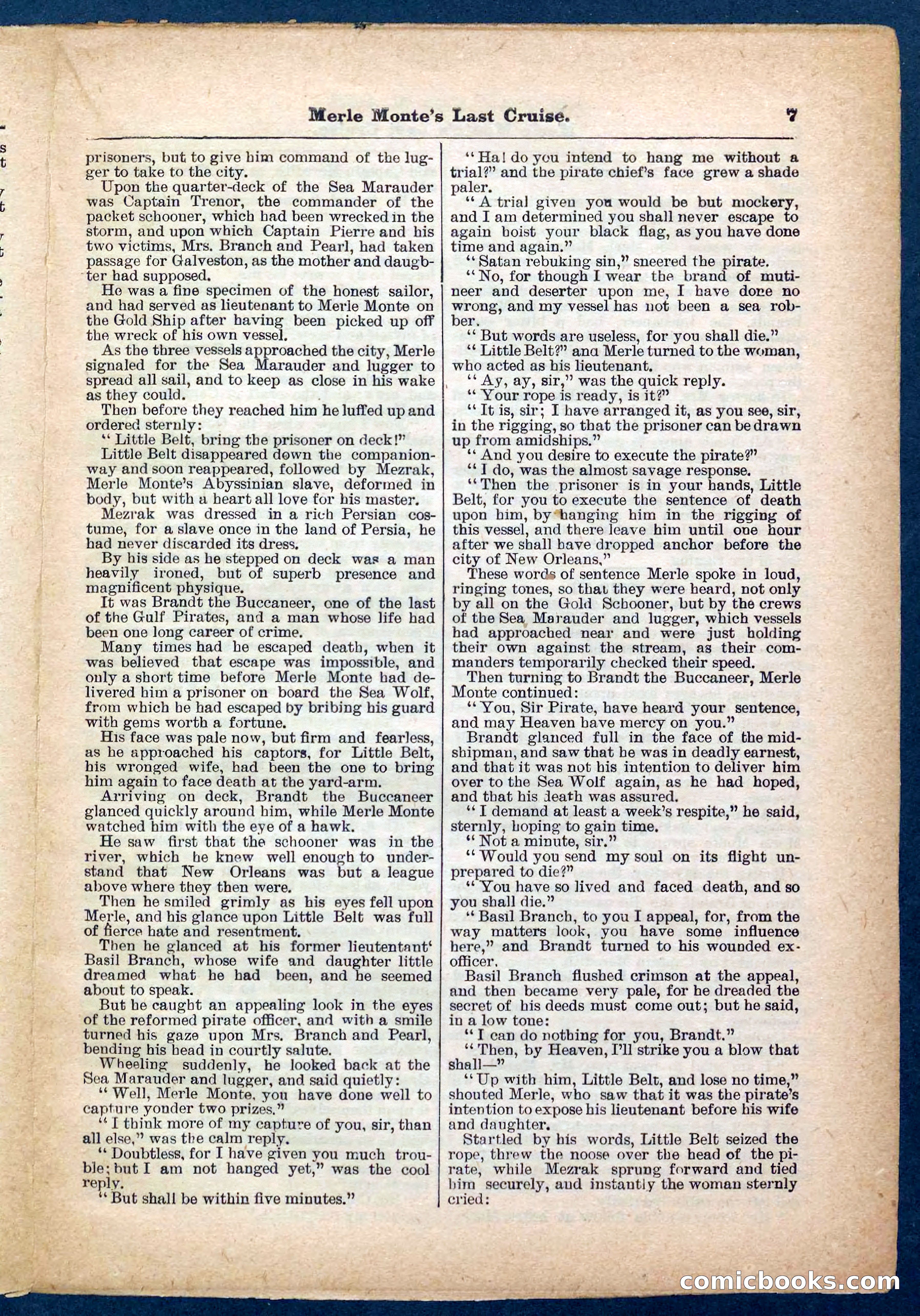 Beadle's Pocket Library No. 256 — page 7 of 32
