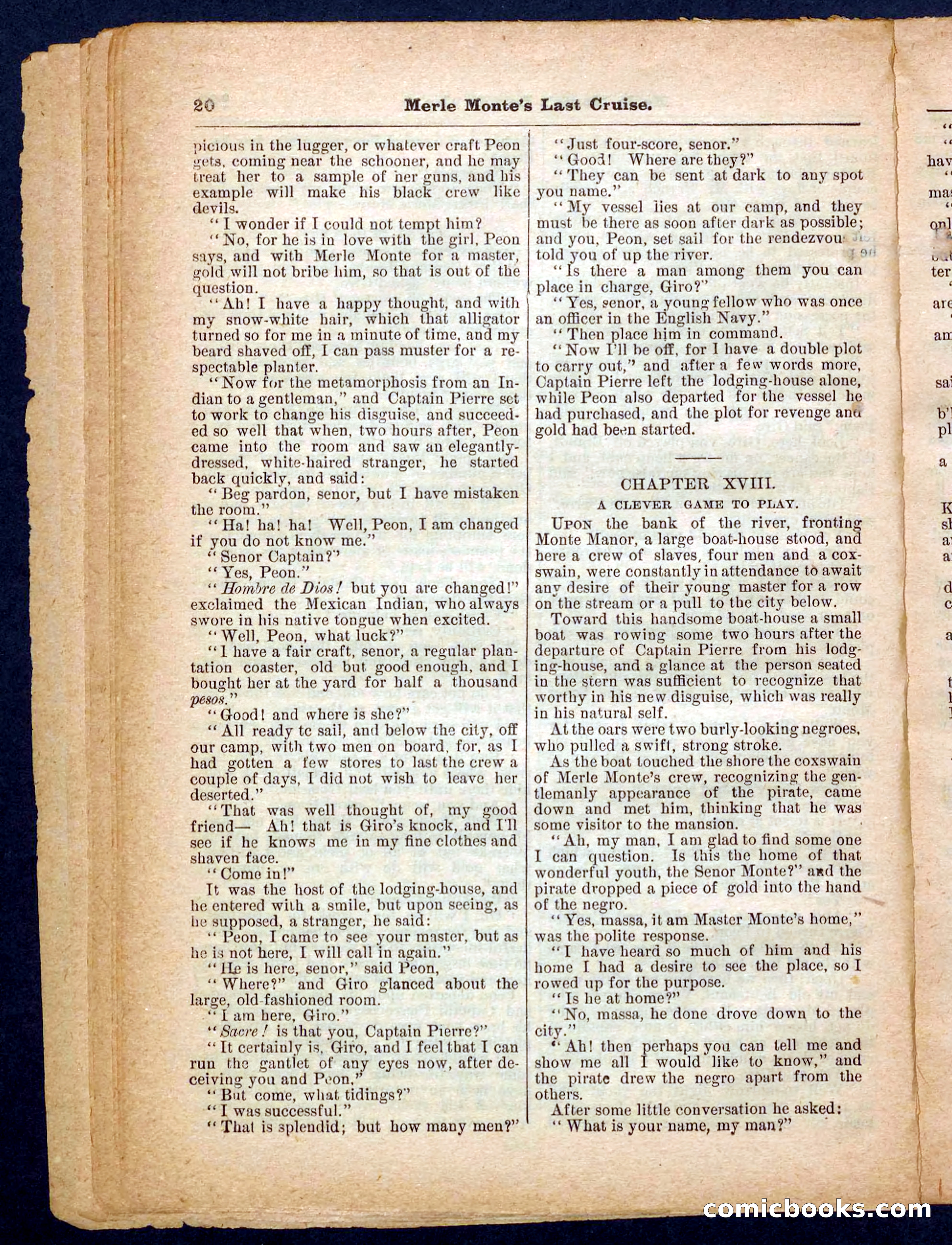 Beadle's Pocket Library No. 256 — page 20 of 32