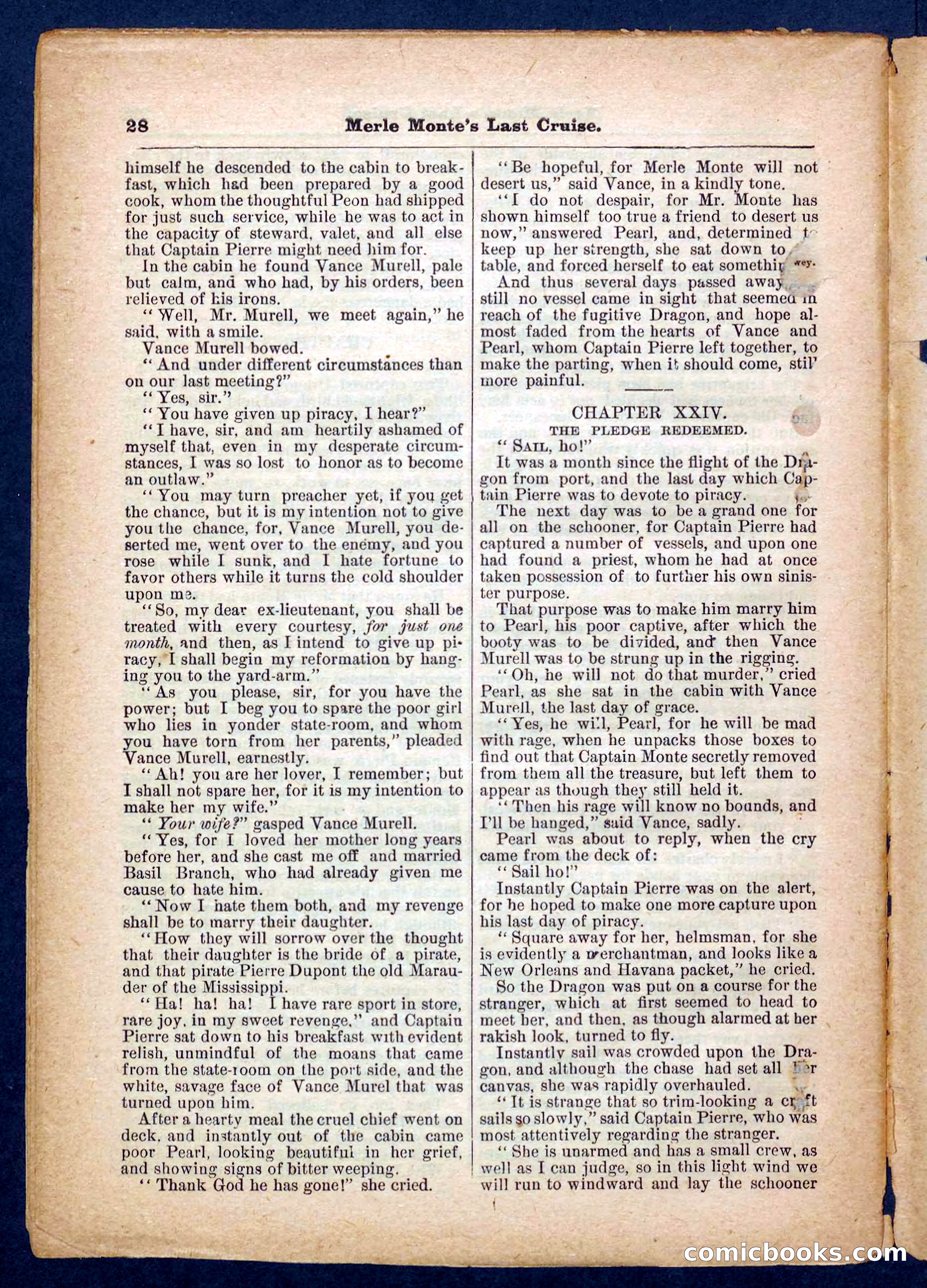 Beadle's Pocket Library No. 256 — page 28 of 32